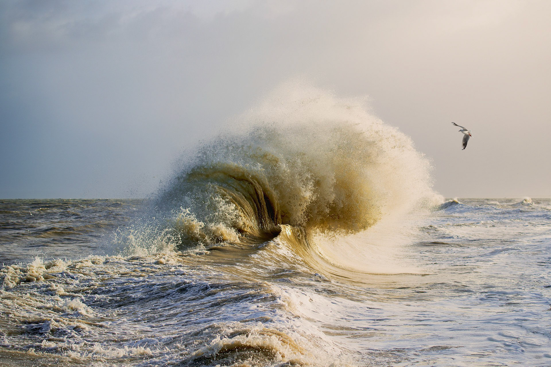 La vague