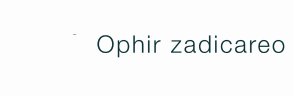 Ophir Zadicareo