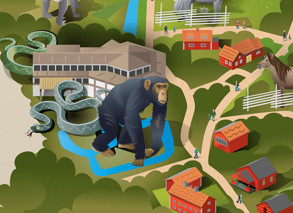 illustrerad karta av Nils-Petter Ekwall 