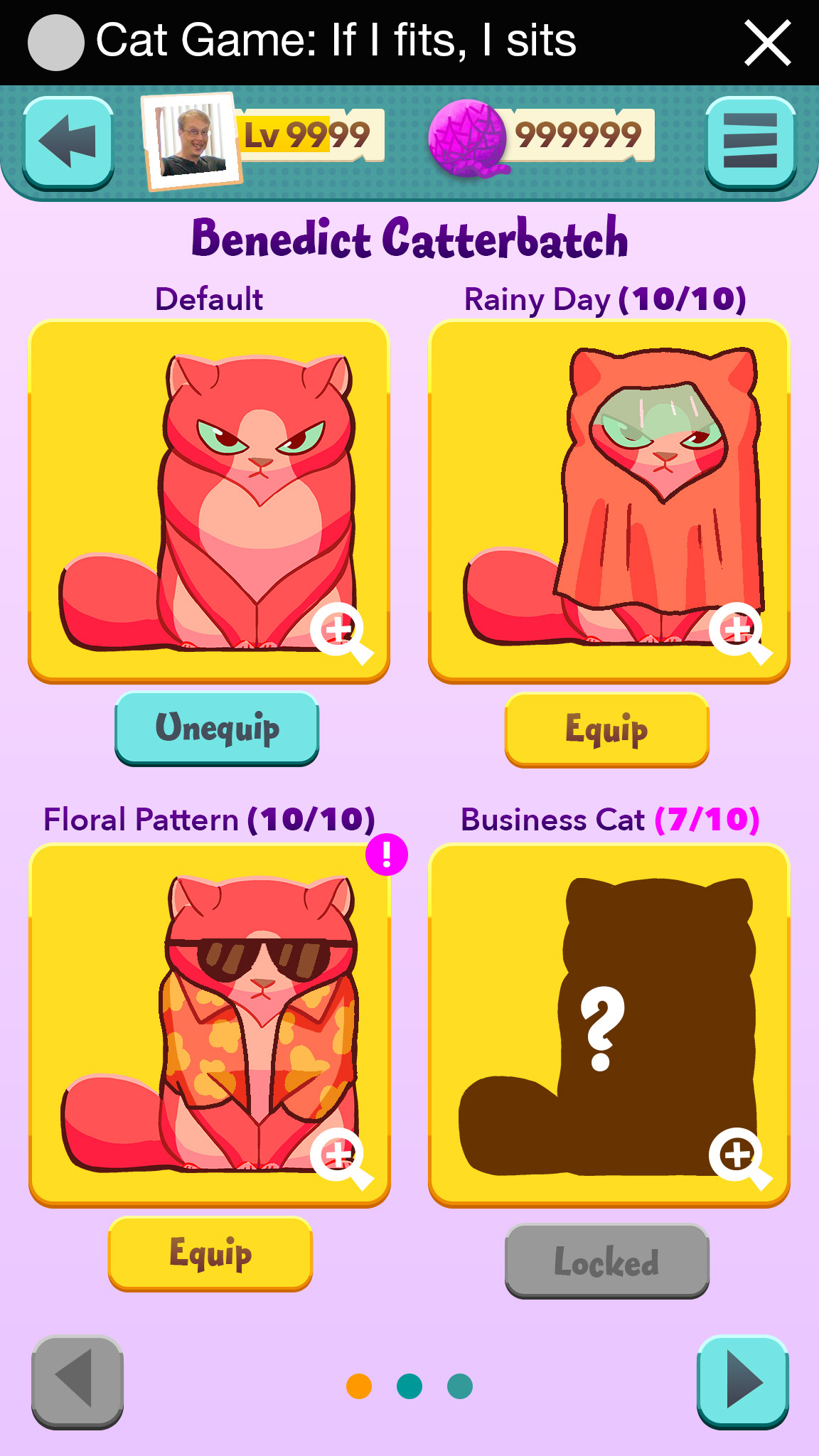 Cat Outfits