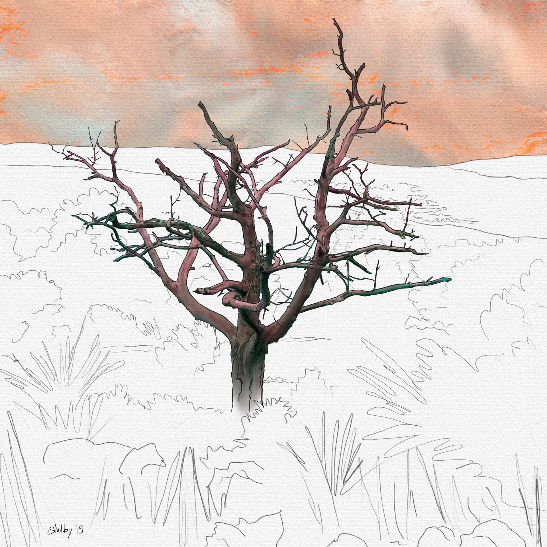 Plan des Noves - arbre mort (40x40)