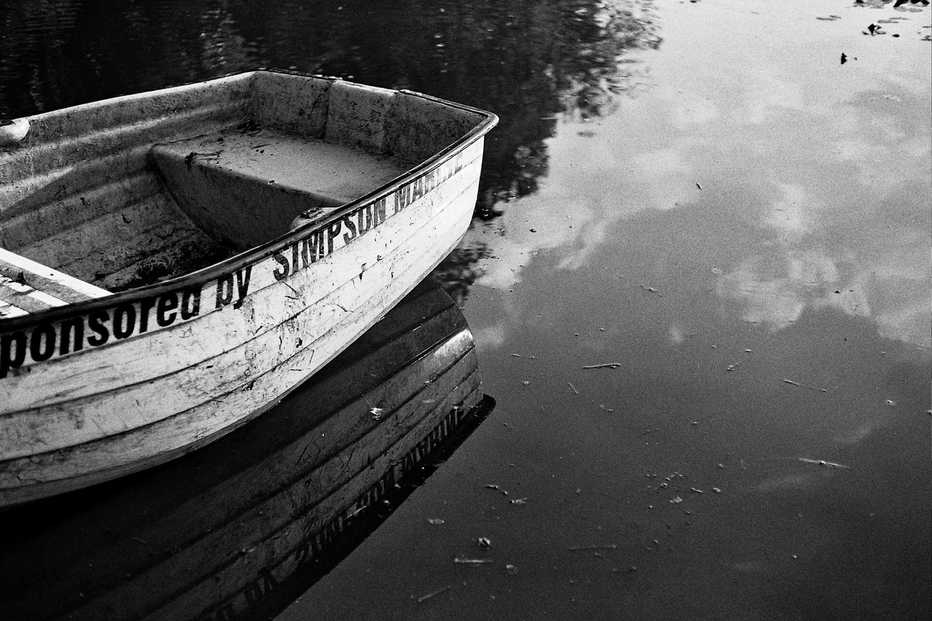 From an ongoing series documenting the life of a local duckpond.