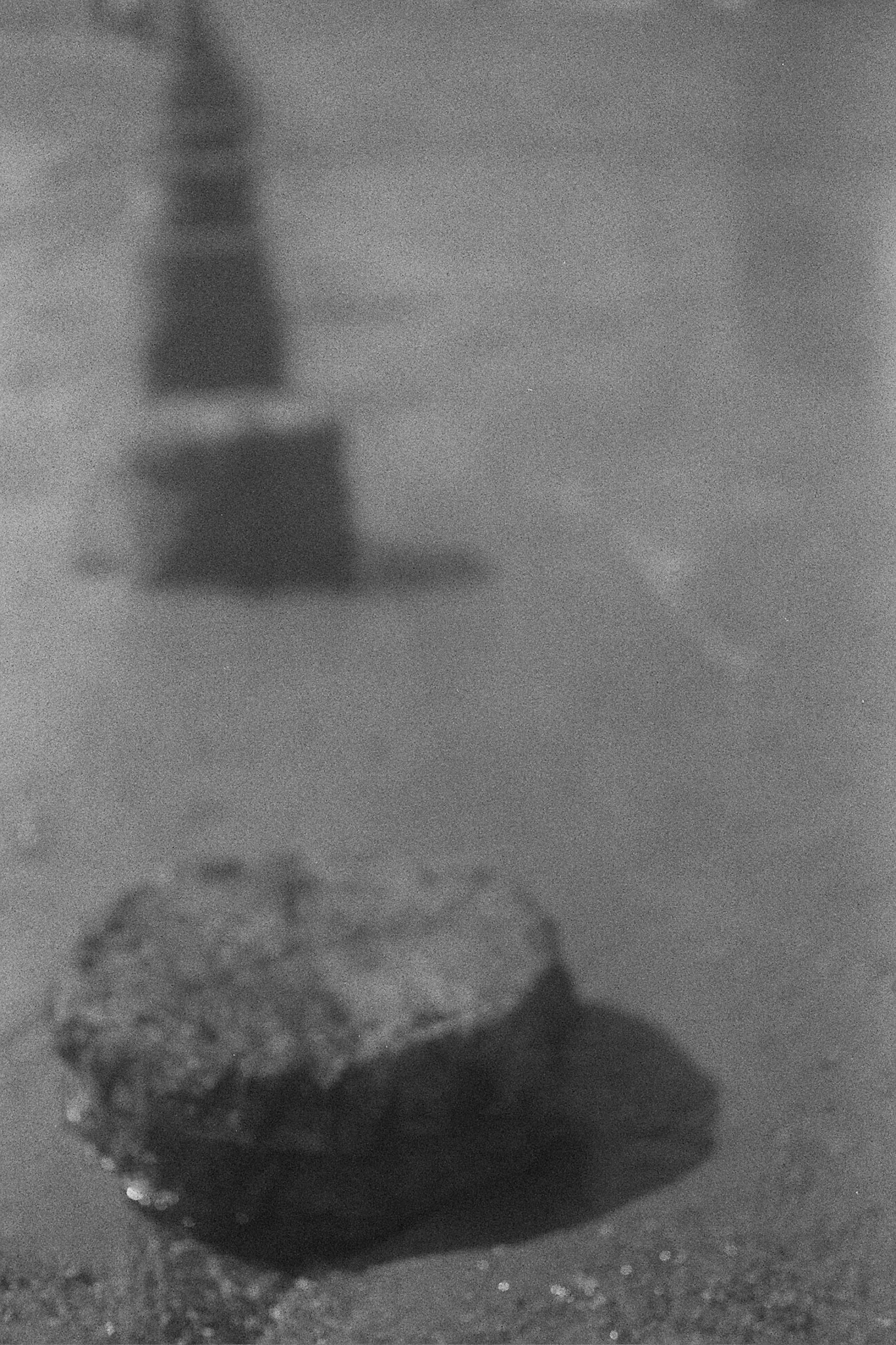 Autosave-File vom d-lab2/3 der AgfaPhoto GmbH