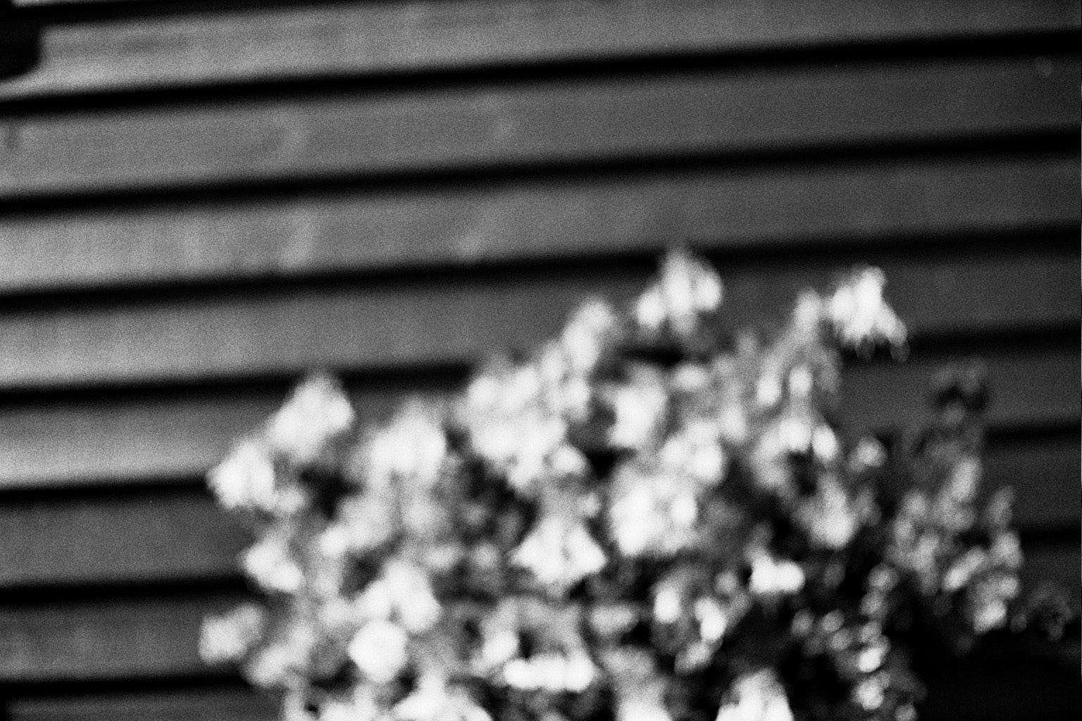 Autosave-File vom d-lab2/3 der AgfaPhoto GmbH