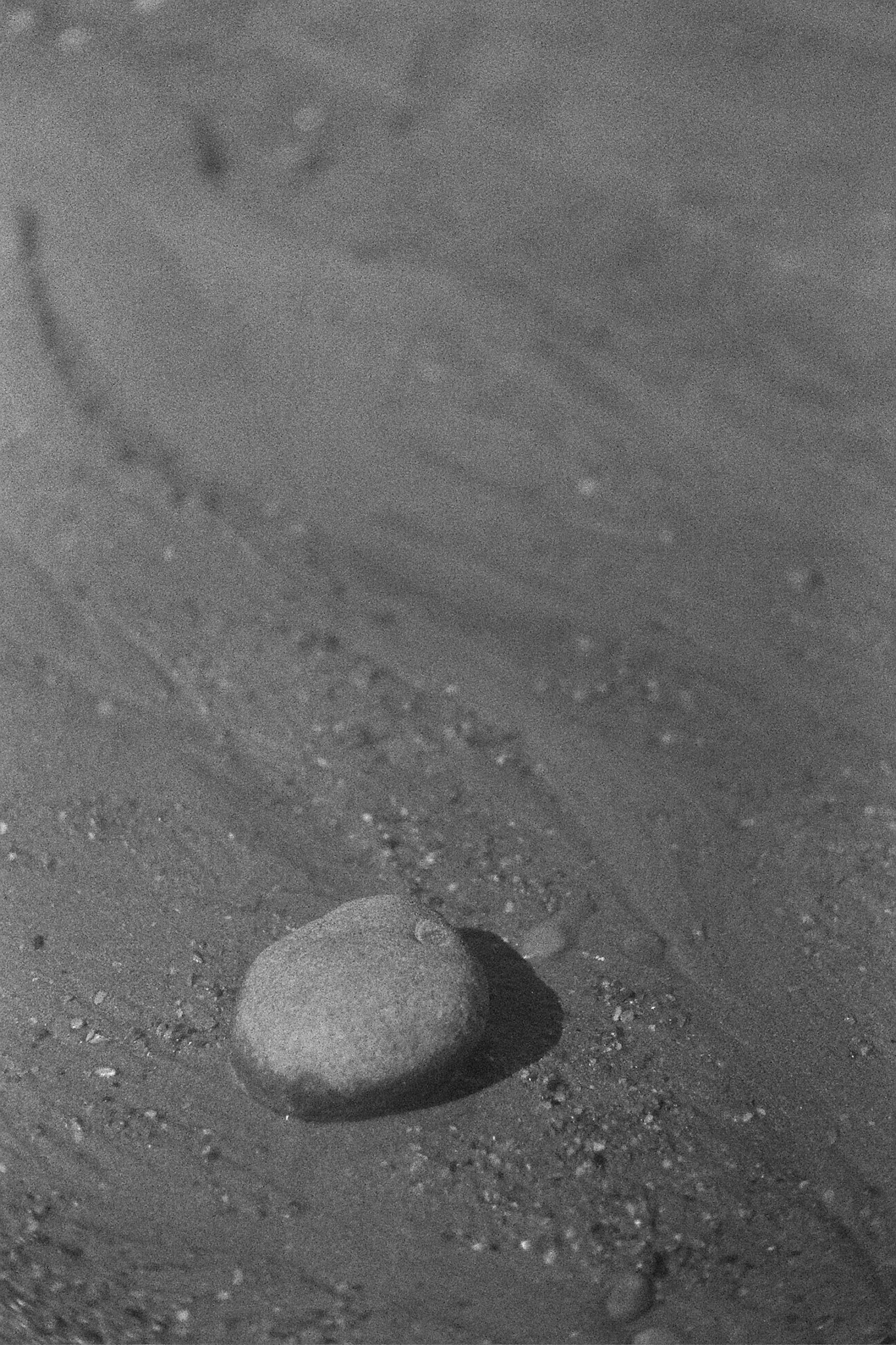 Autosave-File vom d-lab2/3 der AgfaPhoto GmbH