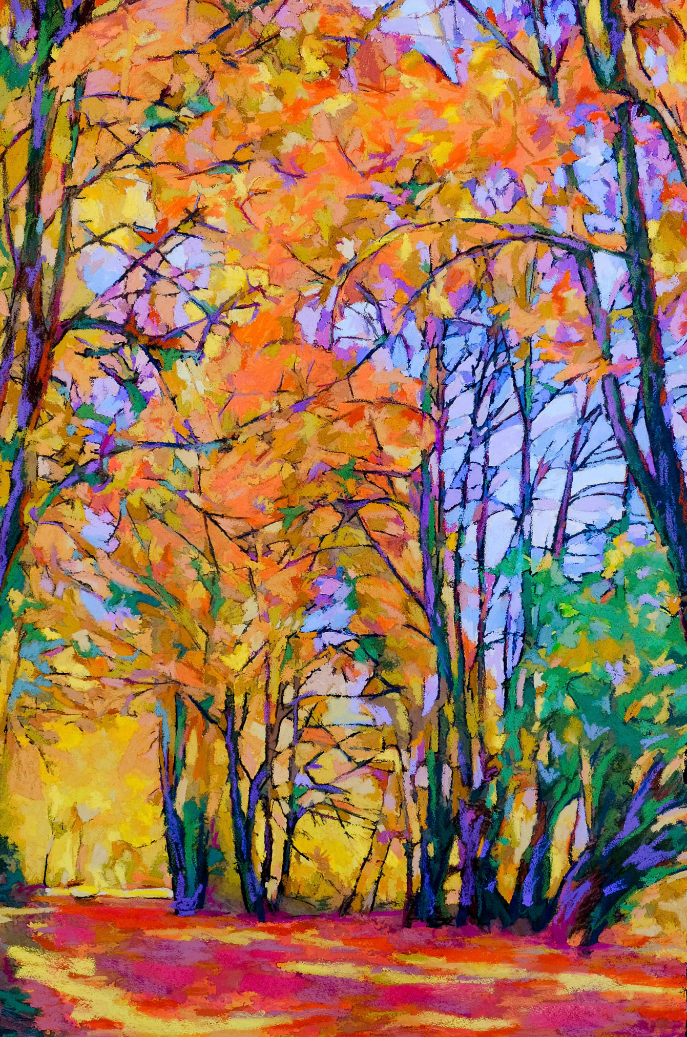 Autumn Colors and Leaves - James Southworth
