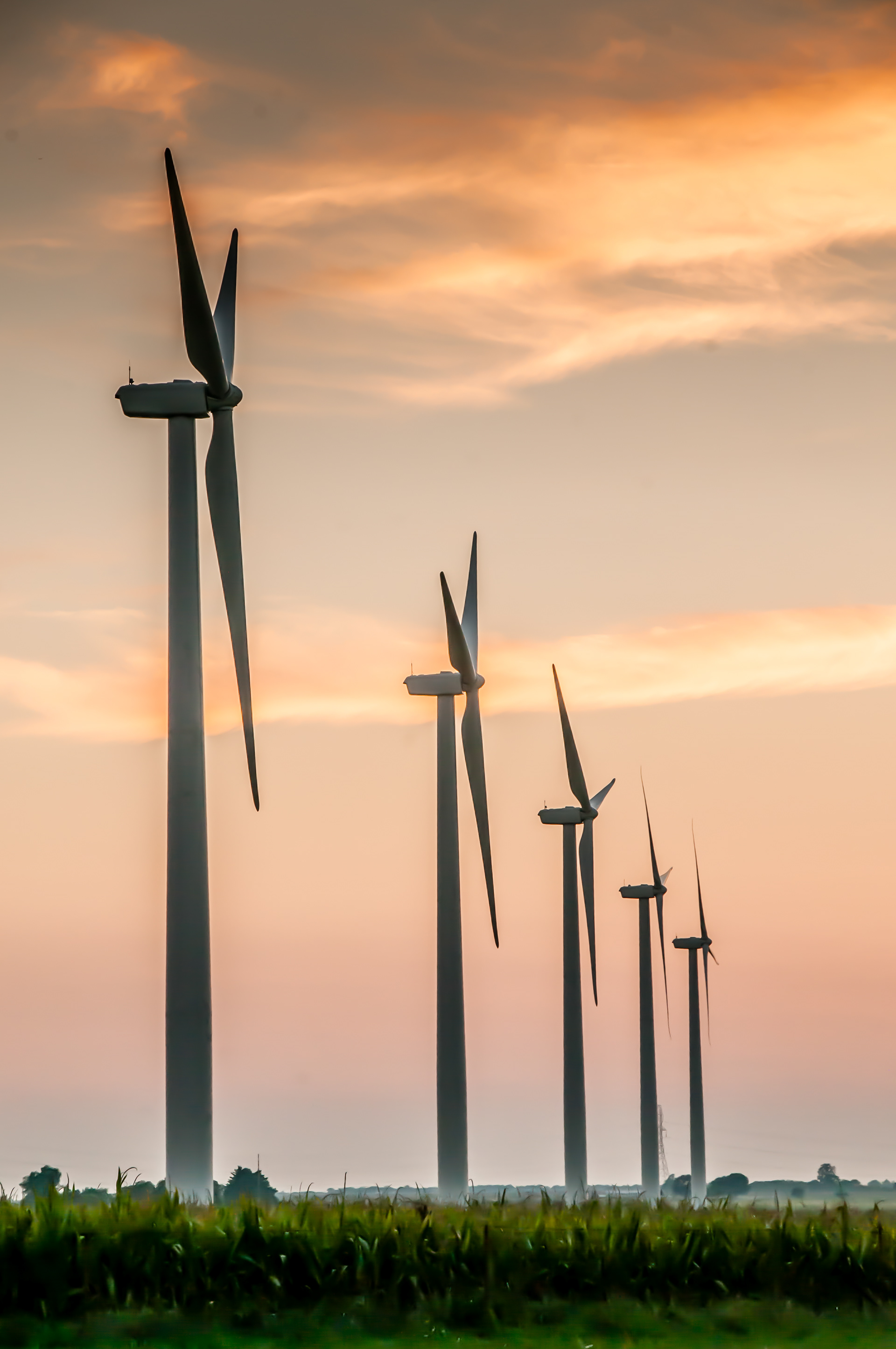 Windmill Farm