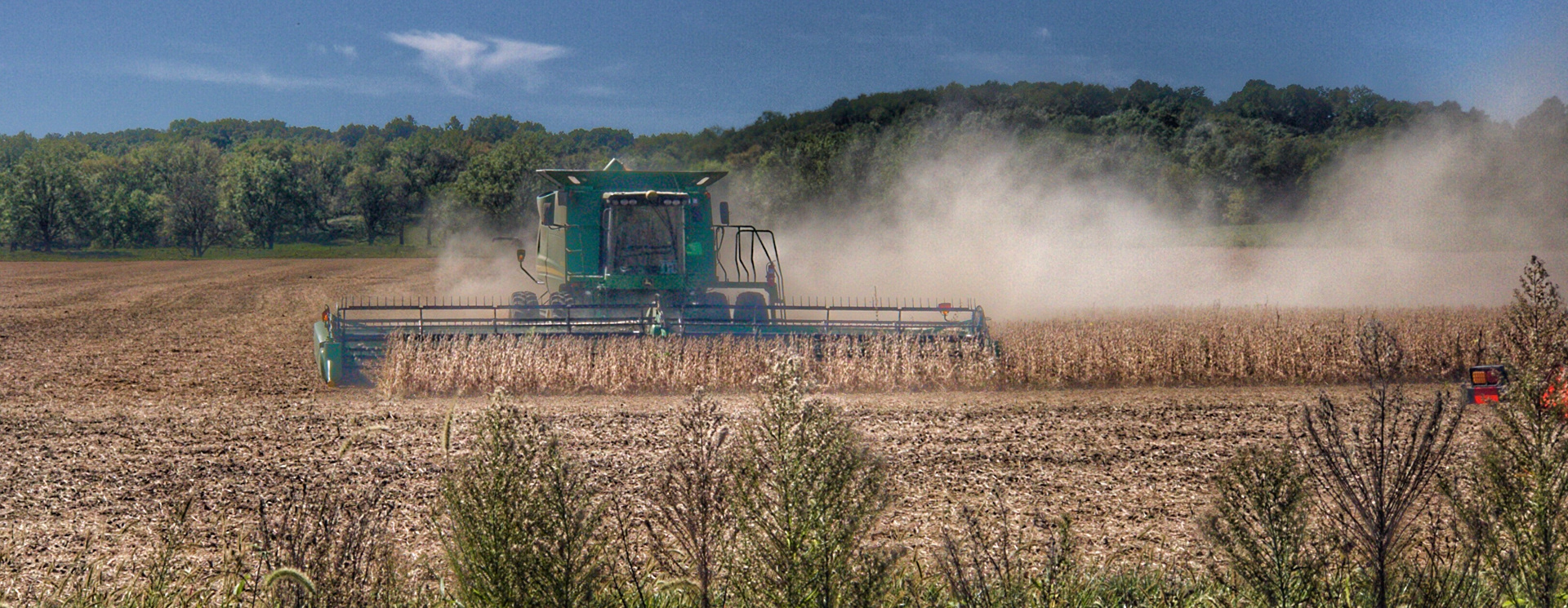 Indiana harvest