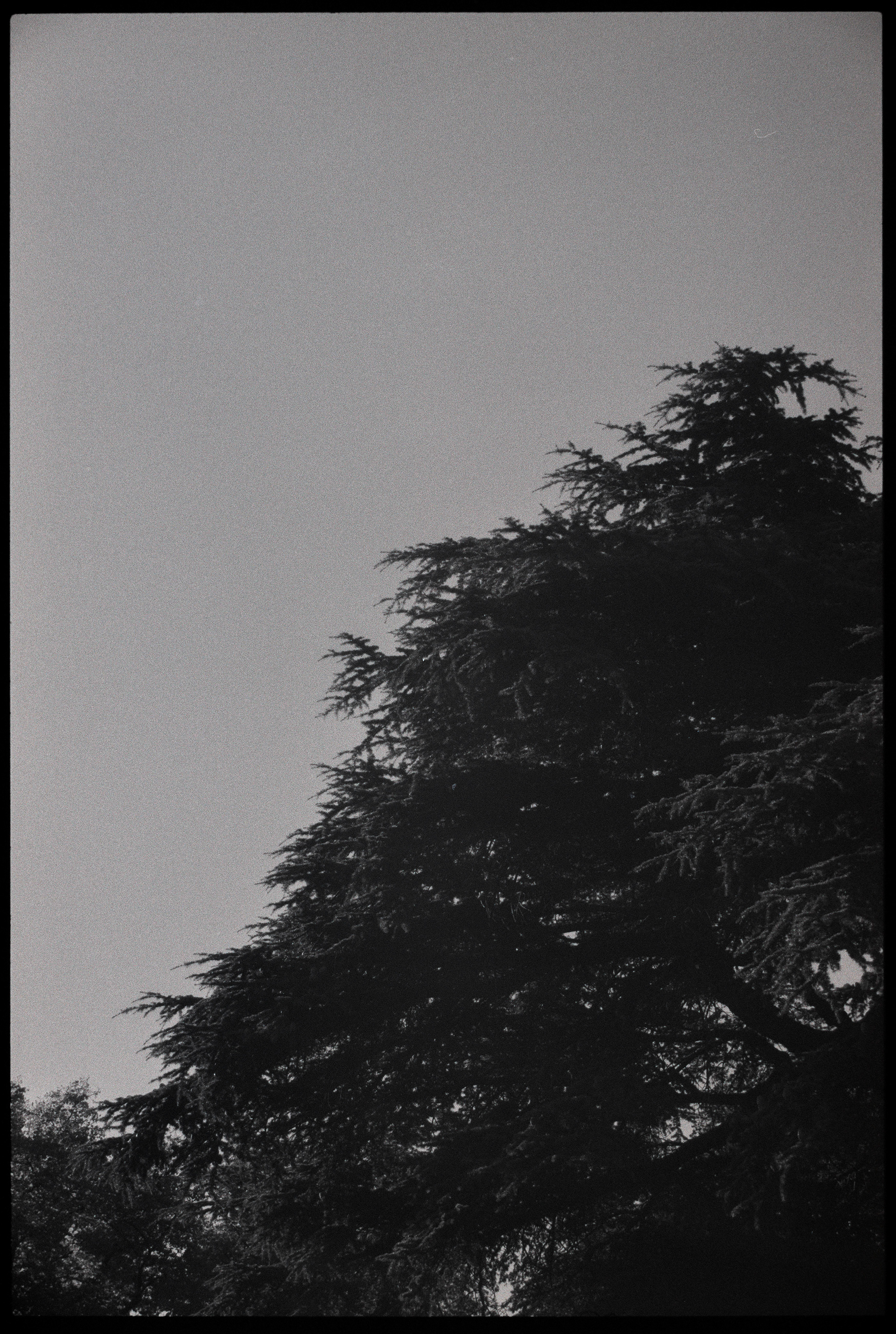 Domfront en Poiraie - Argentique