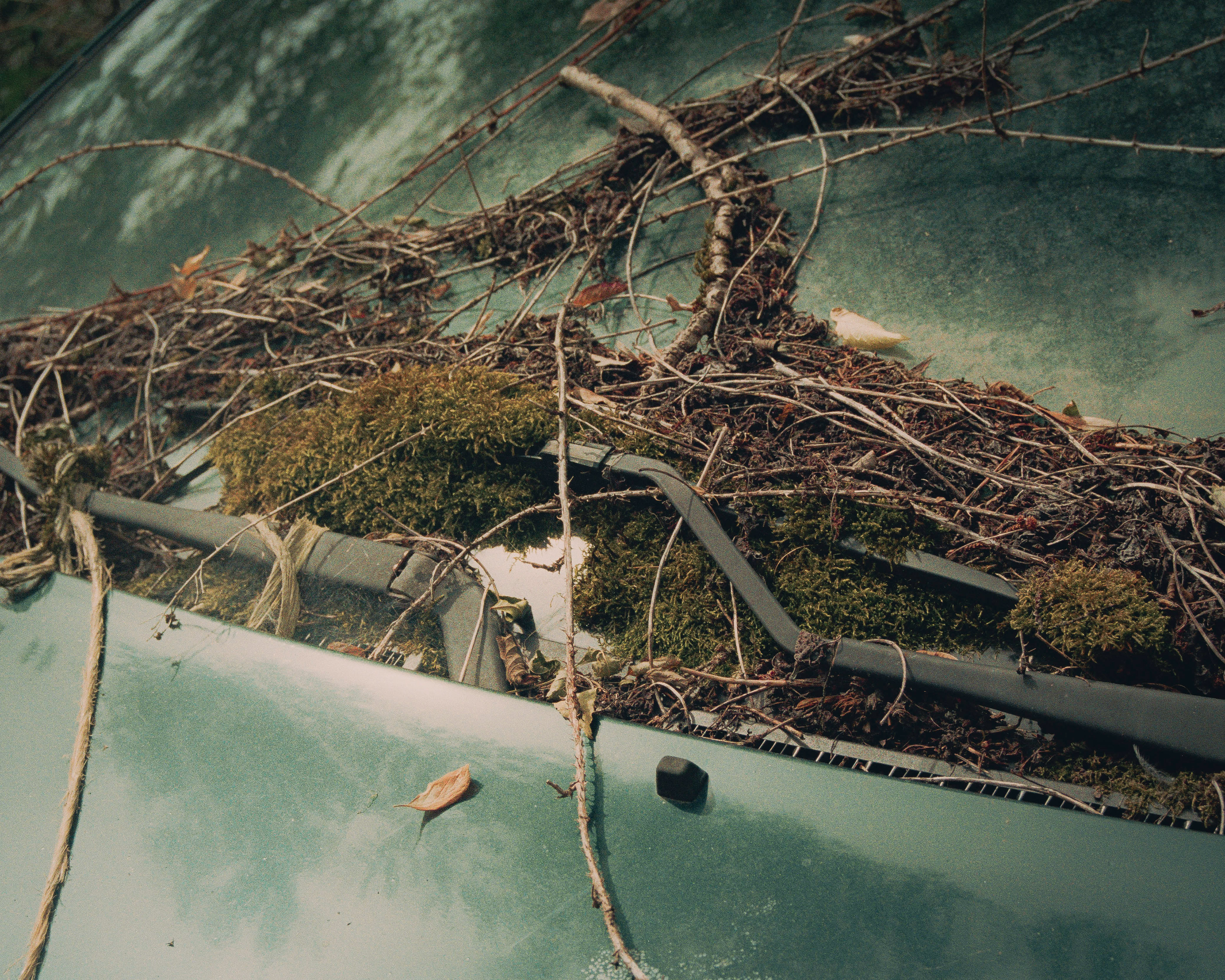 Bourgogne - Argentique