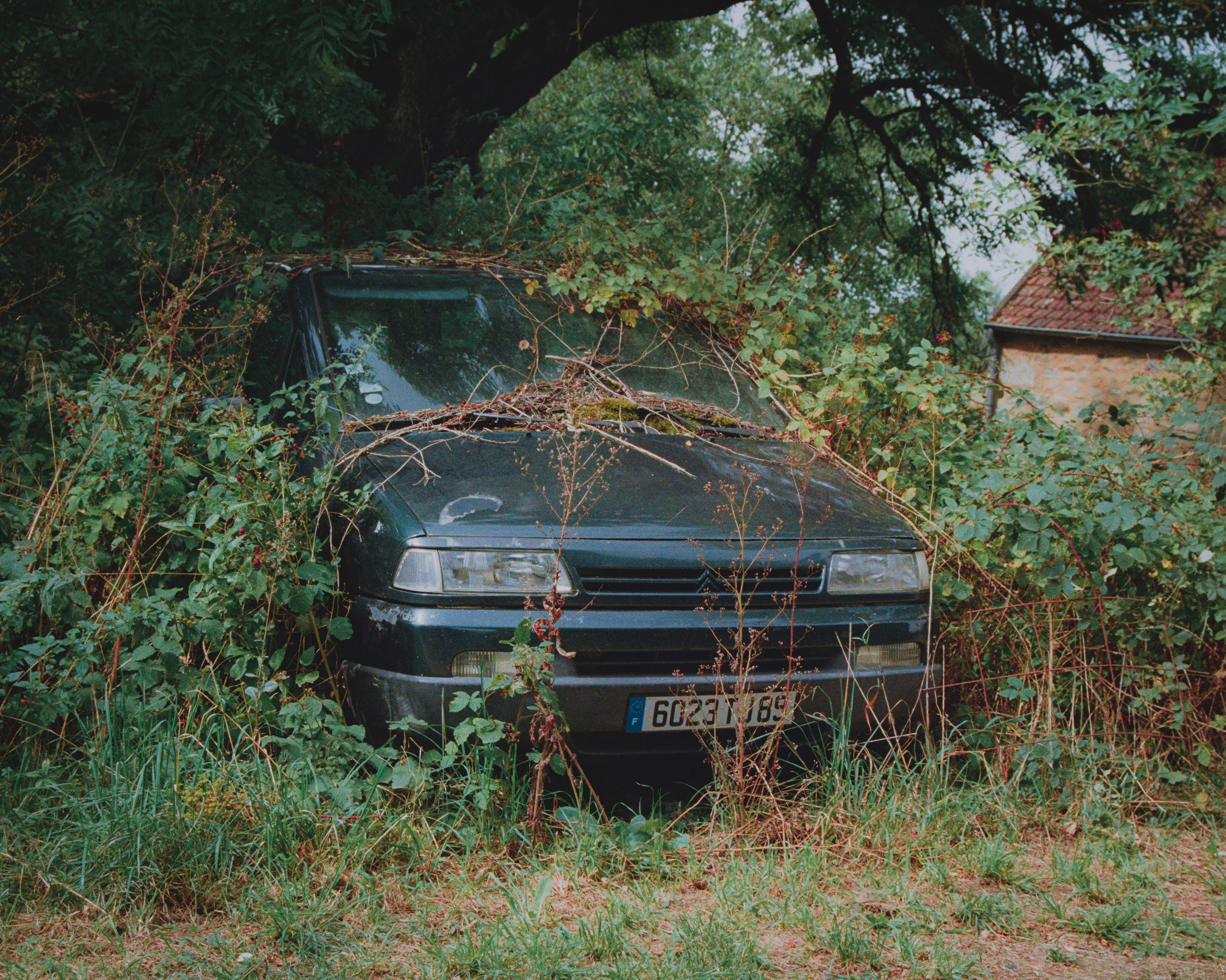 Bourgogne - Argentique