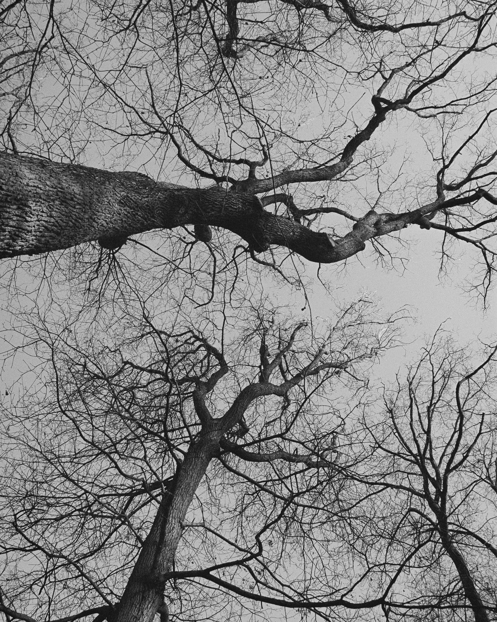 Morzine - Argentique