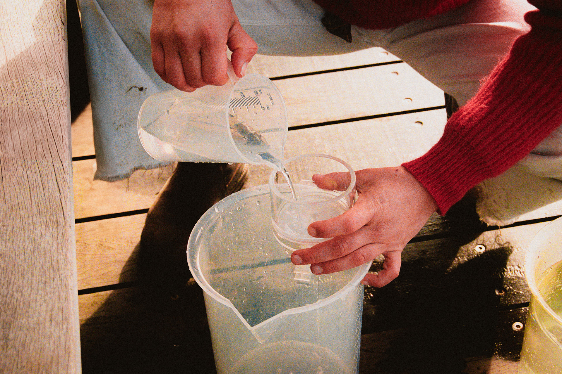 Marta Musso - Biologiste marine & Illustratrice