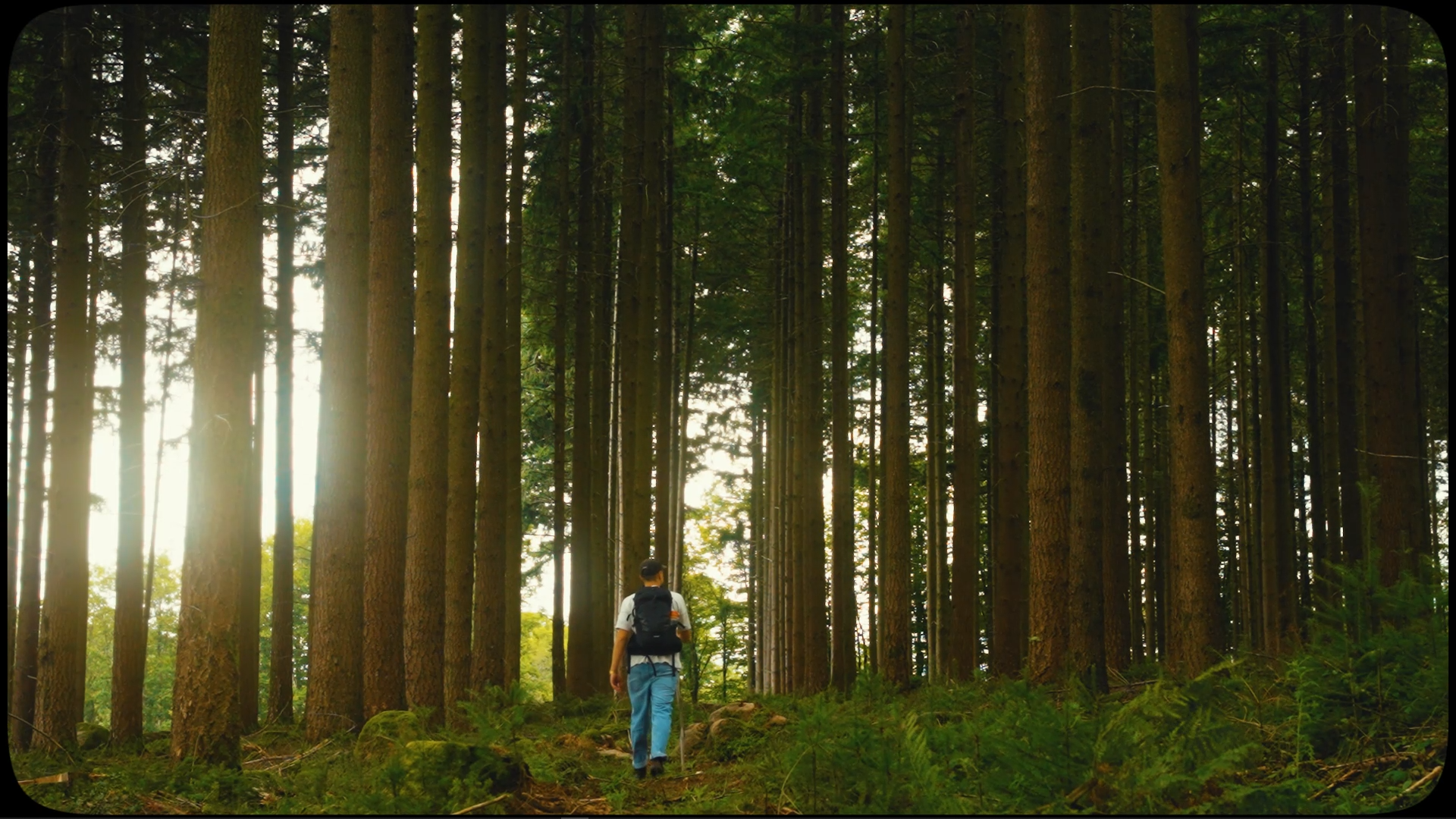 Extrait de capsule vidéo - Bourgogne