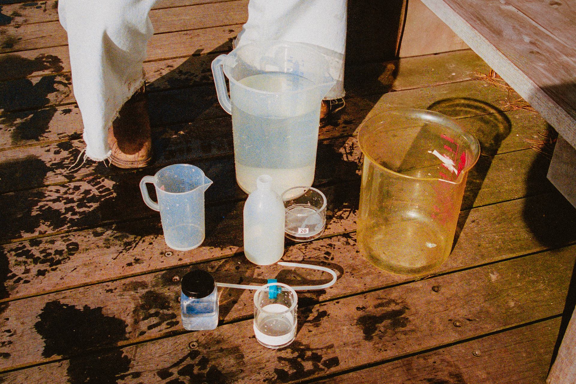 Marta Musso - Biologiste marine & Illustratrice