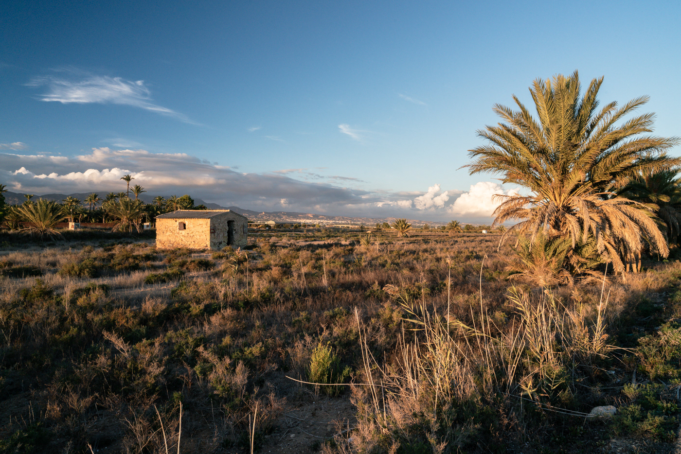 Albatera-San Isidro (Alicante)
