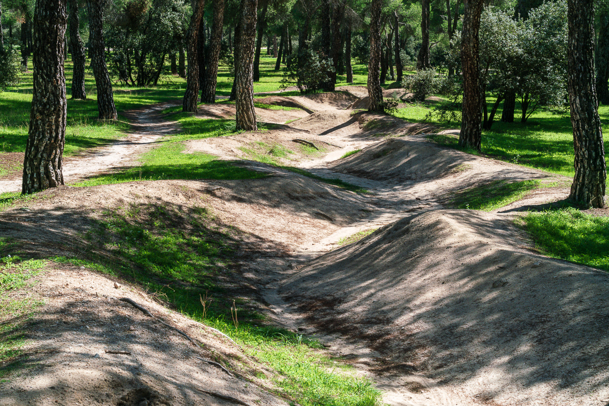 Trincheras-Dehesa de Navalcarbón (Las Rozas-Madrid)