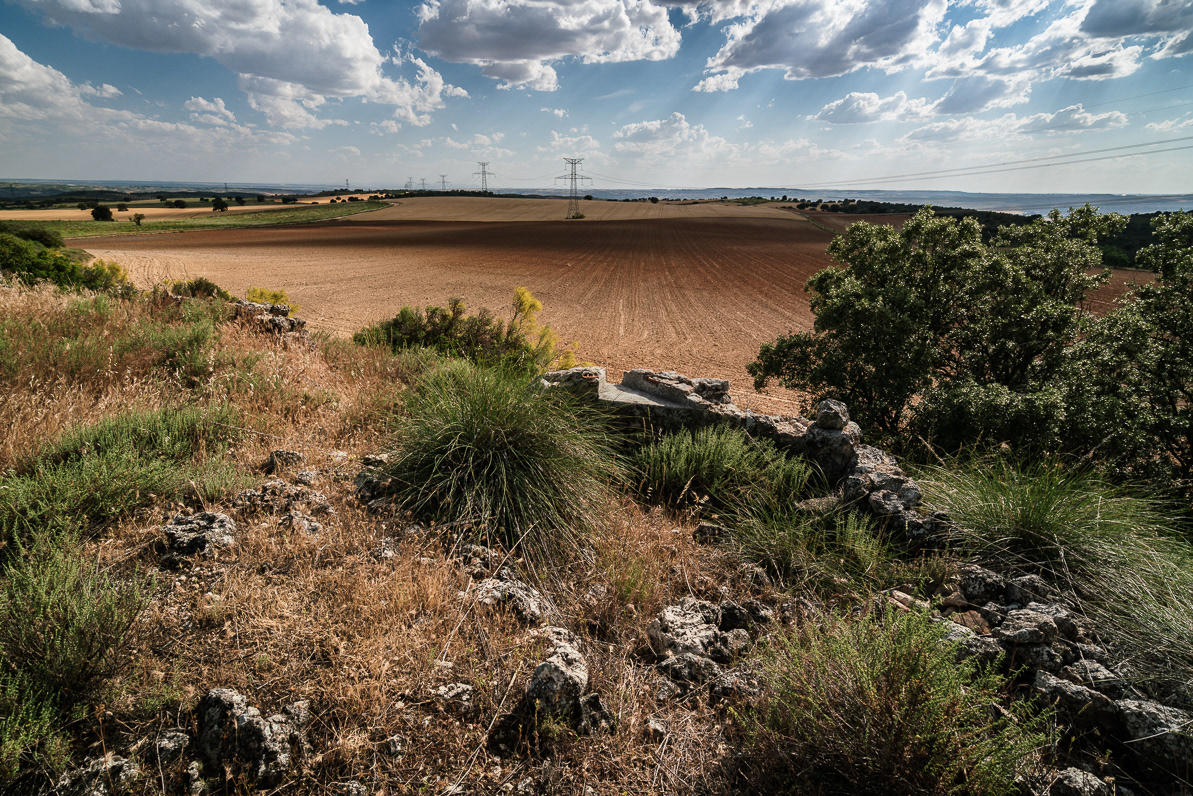 Batalla del Jarama-Cerro Pingarrón (San M. de la Vega)