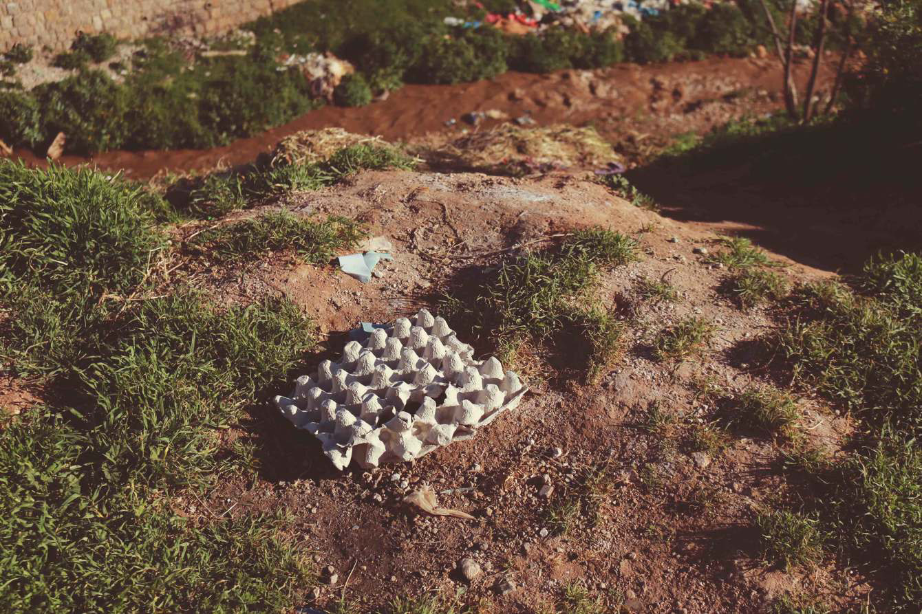 Egg carton- the foundation of the sculpture