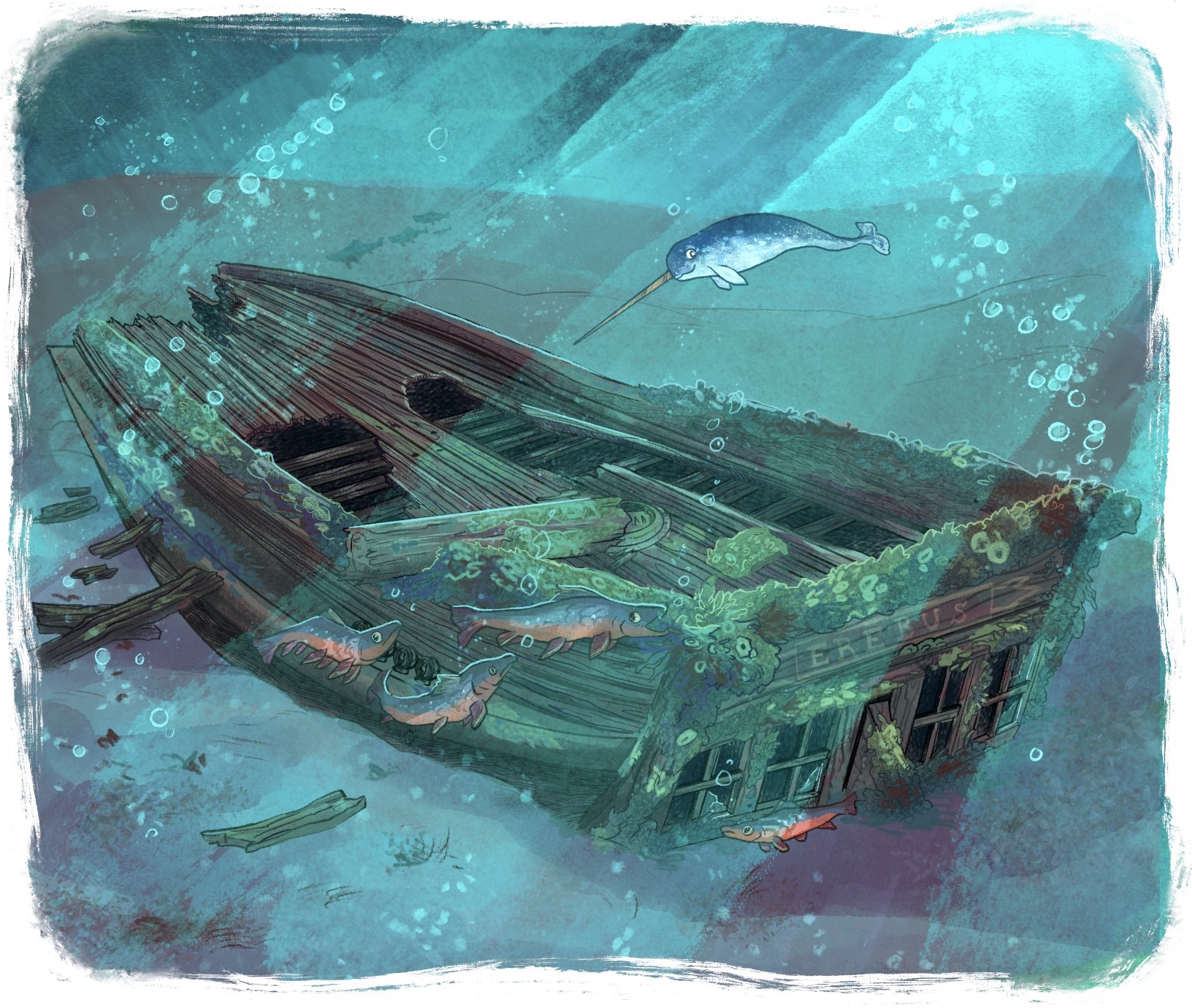 Illustration for  Inhabit Educational Books: Arvaaq Press