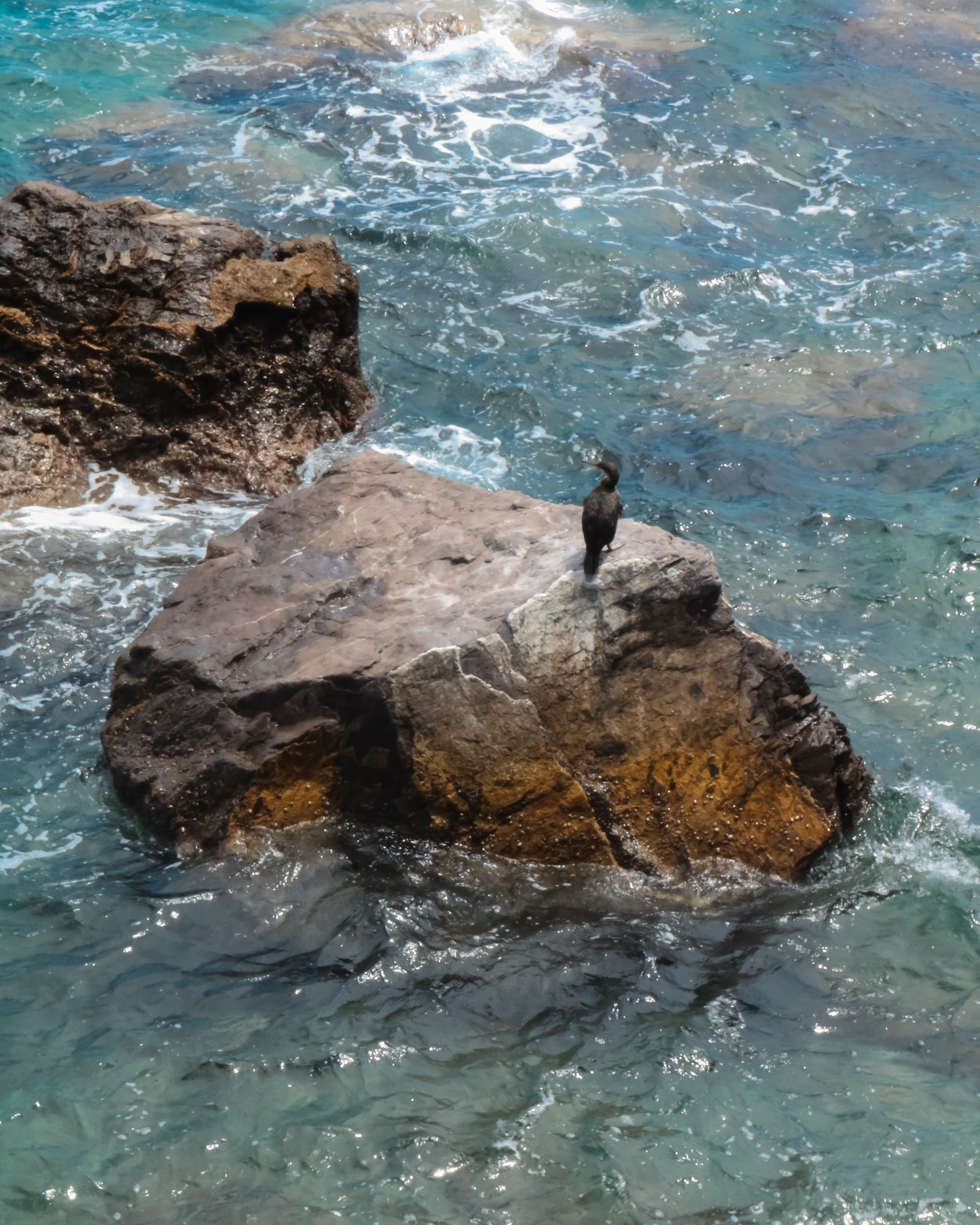SANTA MARGHERITA LIGURE