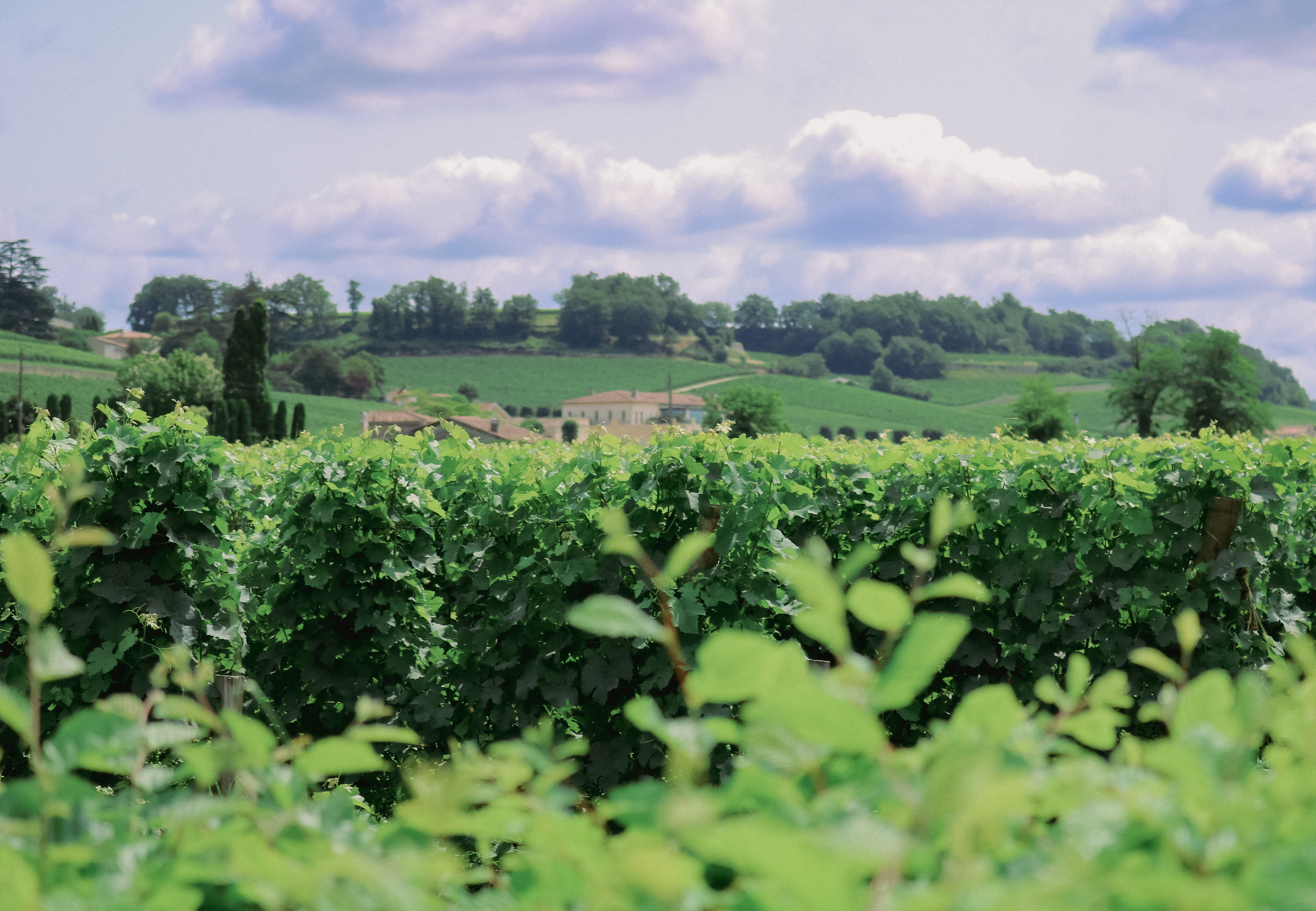 SAINT-EMILION