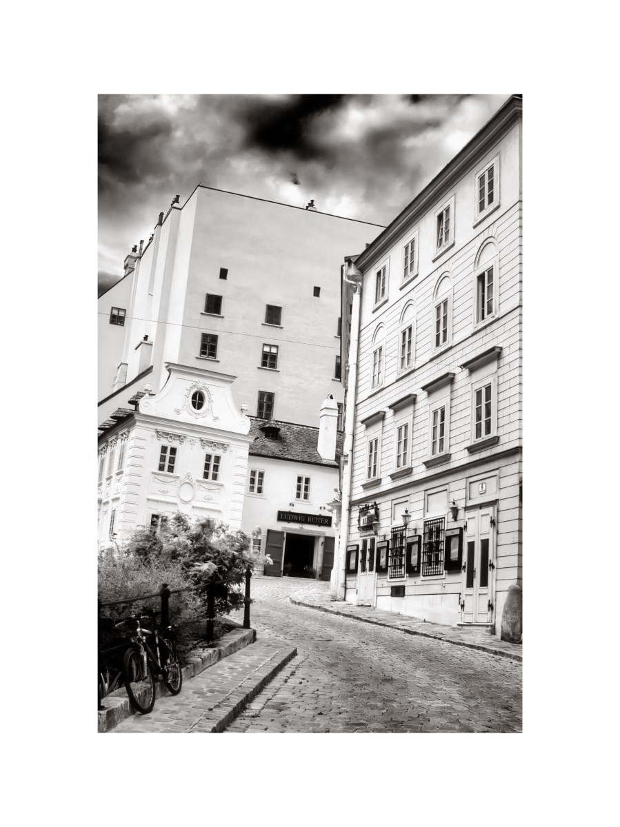 Vienne
