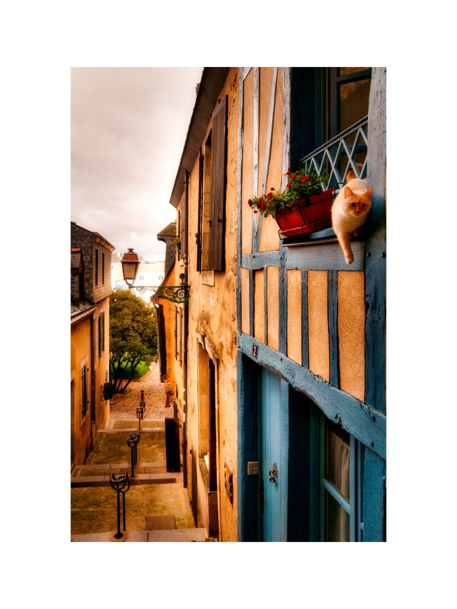 Le Mans