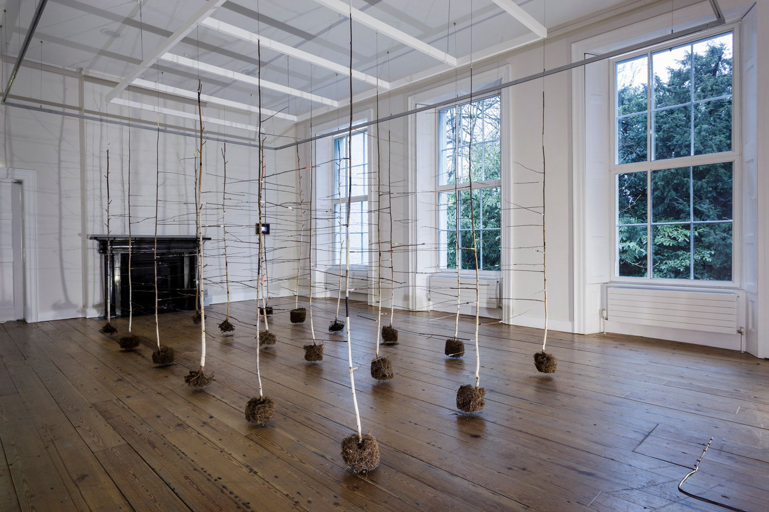 The Past is a Foreign Country (2018), 18 birch trees, twine, paper, paint, 300x500x200cm