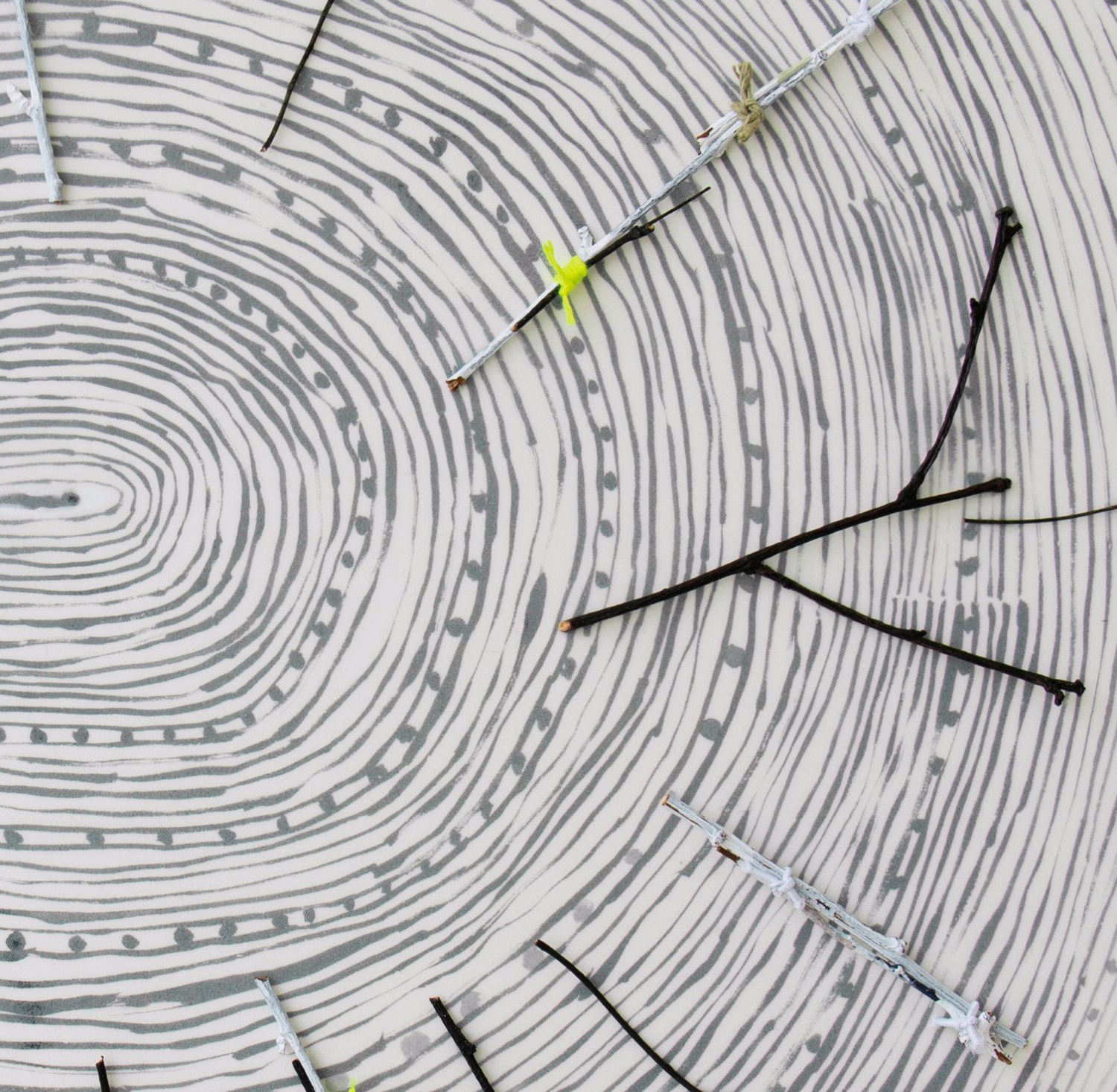 Connective Tissue(2) 2018, ink, twigs, twine on paper, mylar (detail)