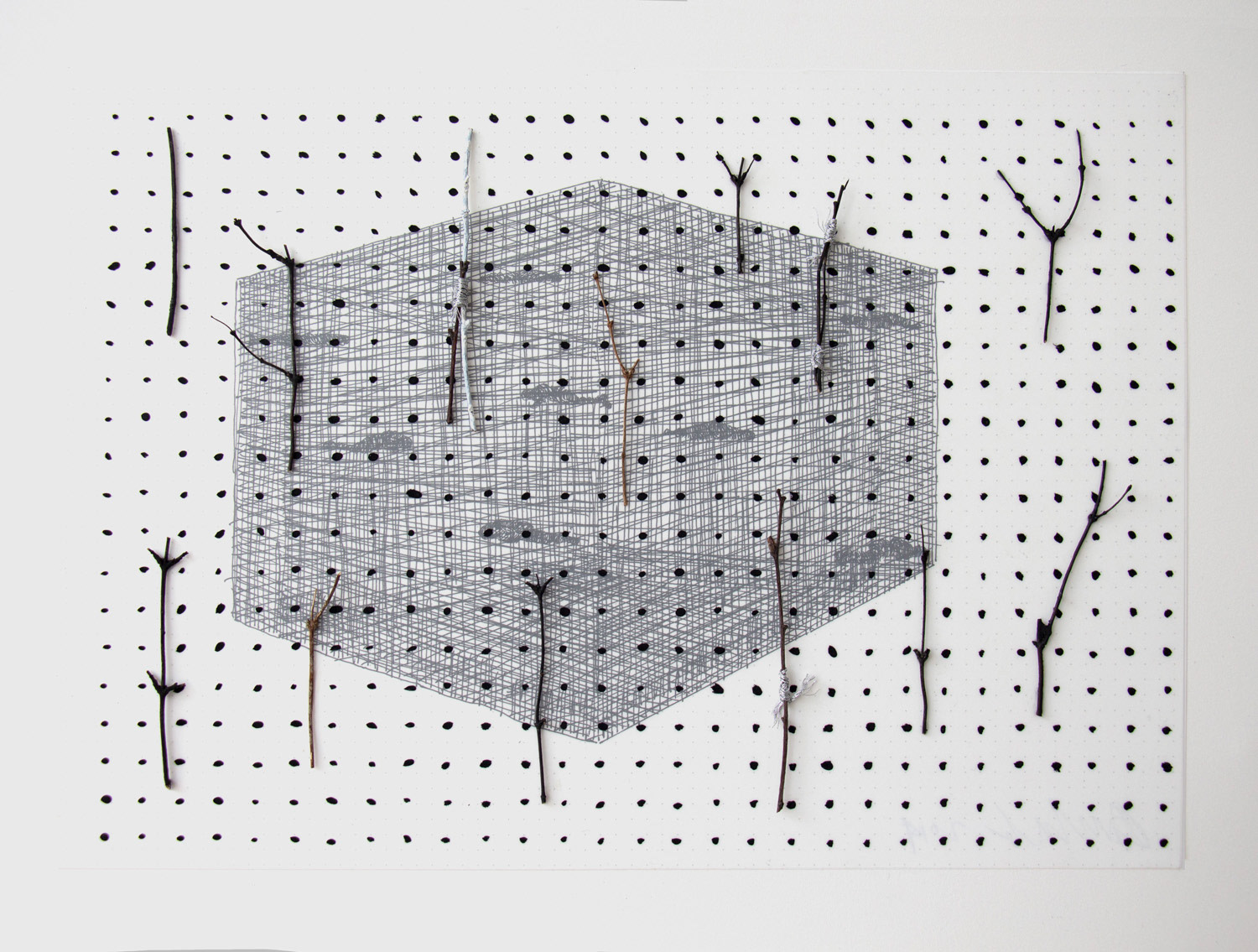 The Fields are Crying Out, 2019, ink, twigs, twine on paper/mylar