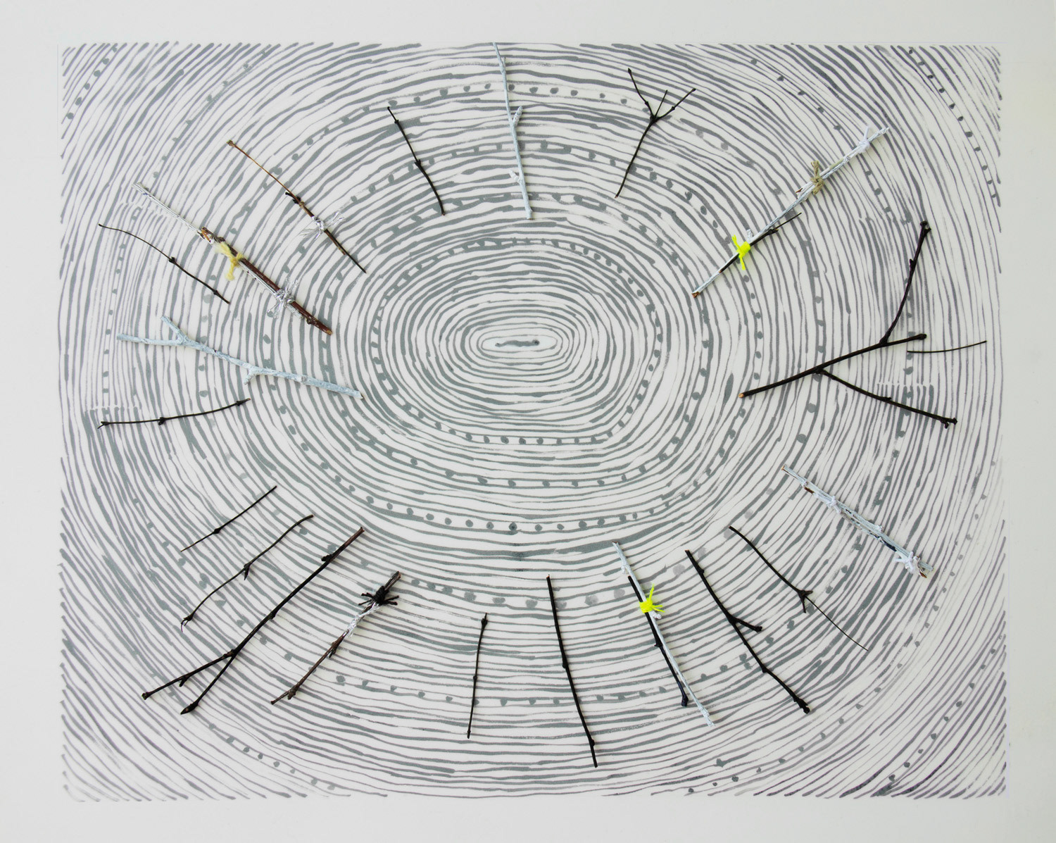 Connective Tissue(2) 2018, ink, twigs, twine on paper, mylar