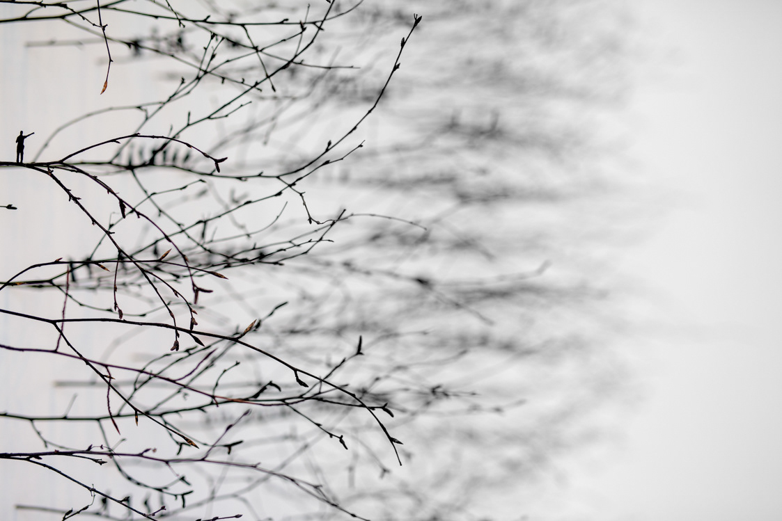 detail of 'Prolonged by a Hundred Shadows', 2019, painted birch twigs, paper, 230 cm diameter