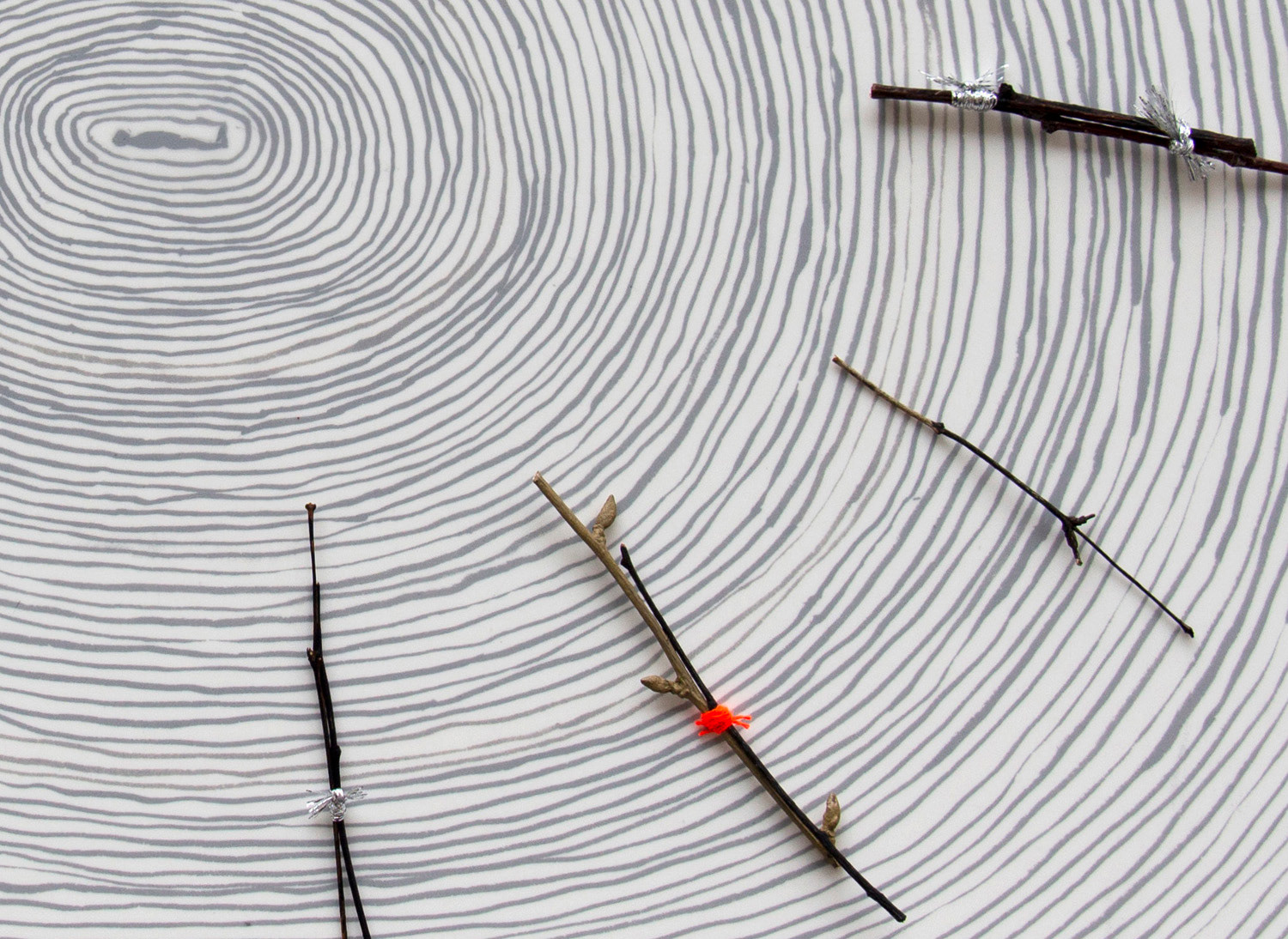 Connective Tissue, 2018, ink, twigs, twine on paper, mylar (detail)