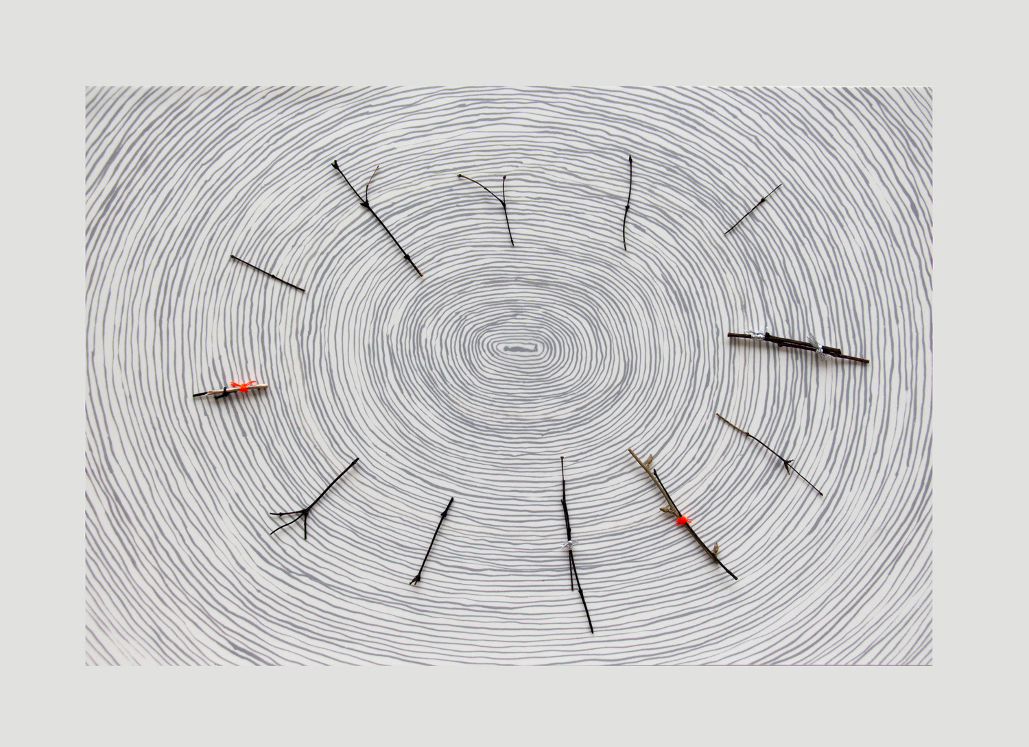 Connective Tissue, 2018, ink, twigs, twine on paper, mylar