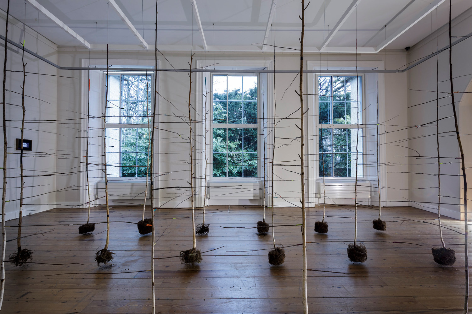 The Past is a Foreign Country (2018), 18 birch trees, twine, paper, paint, 300x500x200cm