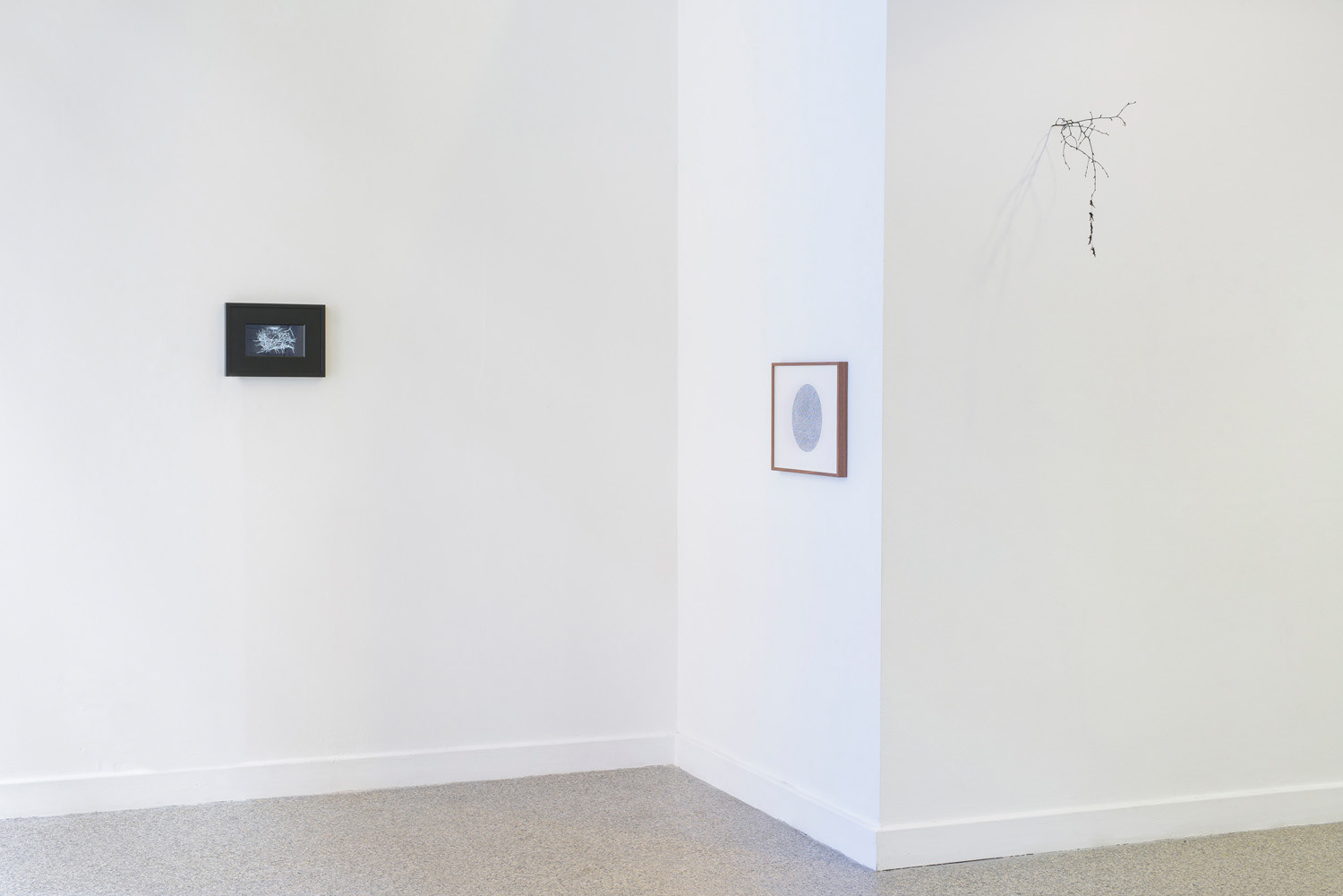 29x42cm. United (2019), twigs, paper, paint, dimensions variable.