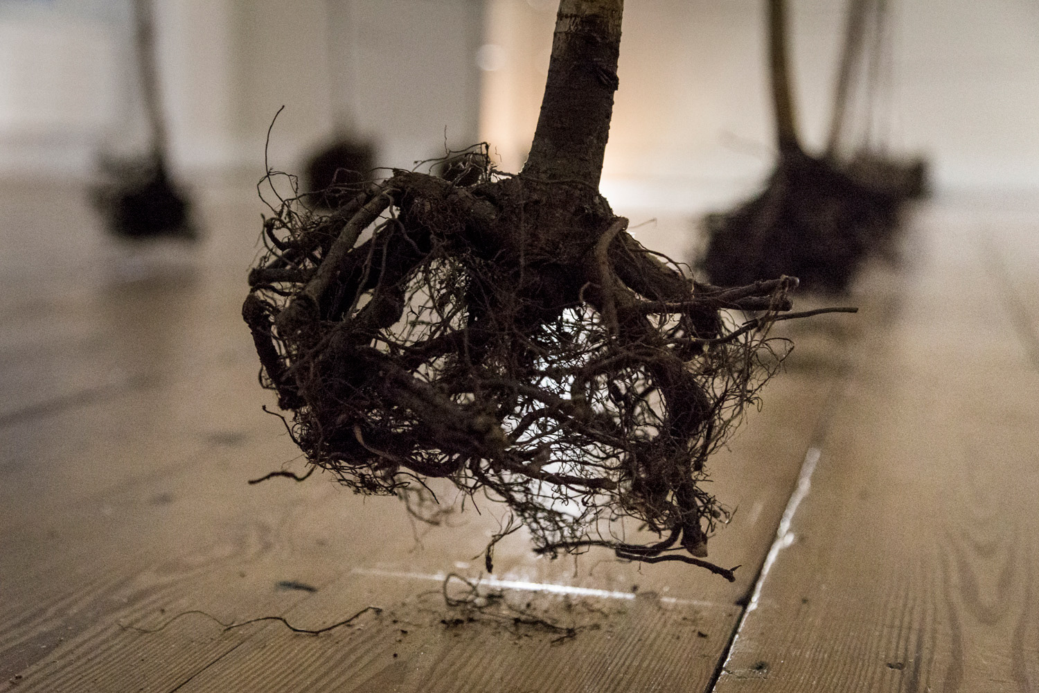 The Past is a Foreign Country (2018), 18 birch trees, twine, paper, paint, 300x500x200cm