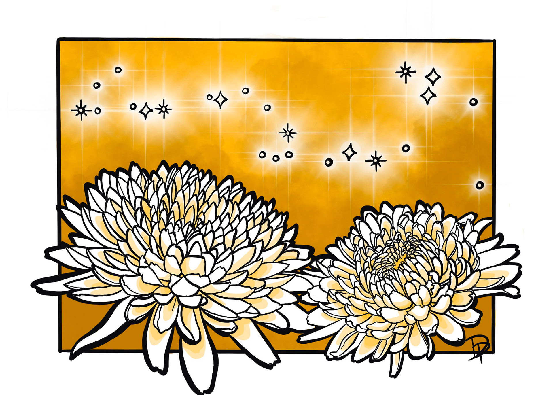November: Chrysanthemum. Citrine. Scorpio & Sagittarius.