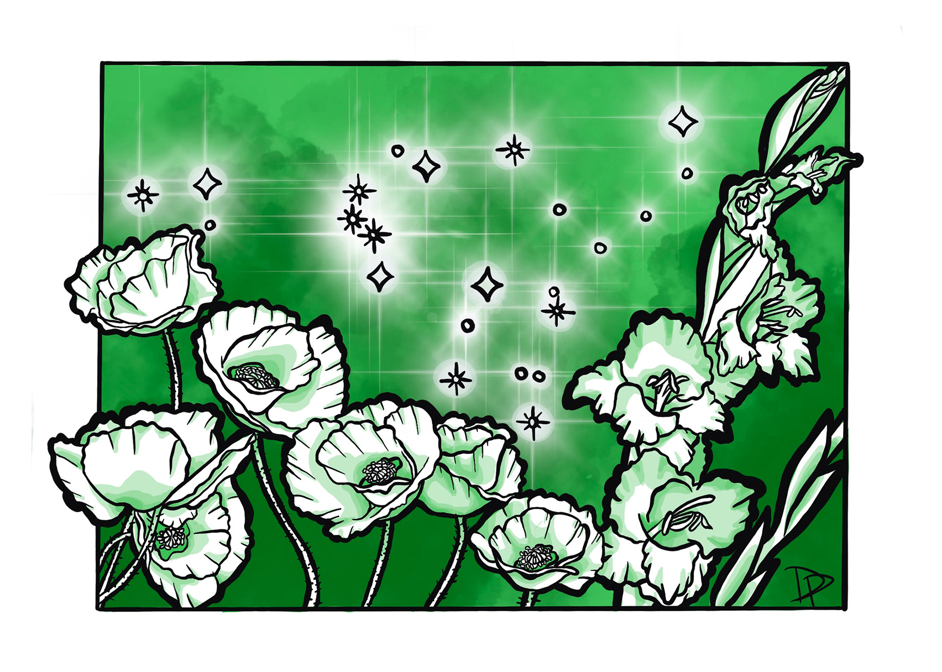 August: Poppy & Gladiolus. Peridot. Leo & Virgo.