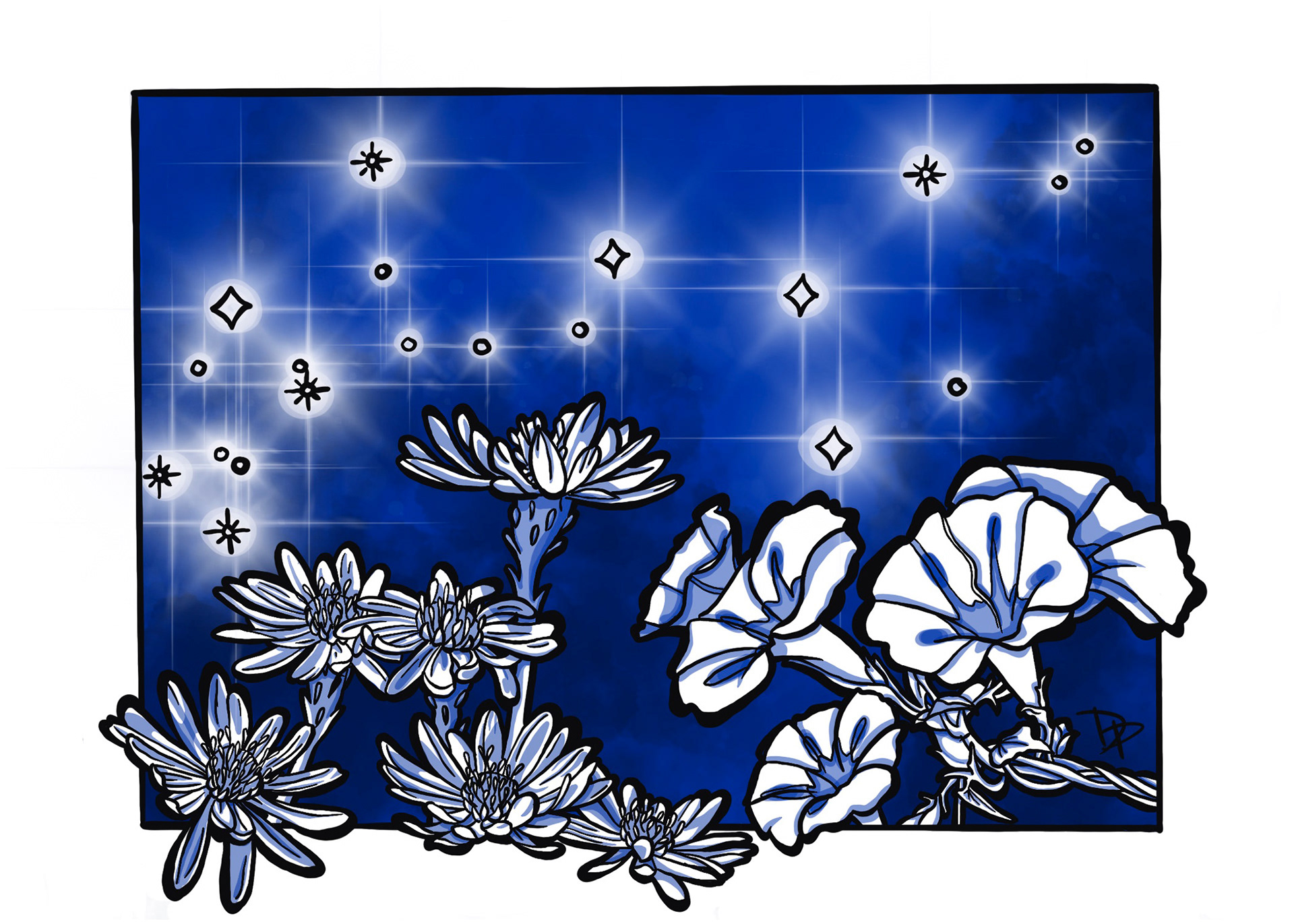 September: Aster & Morning Glory. Sapphire. Virgo & Libra.