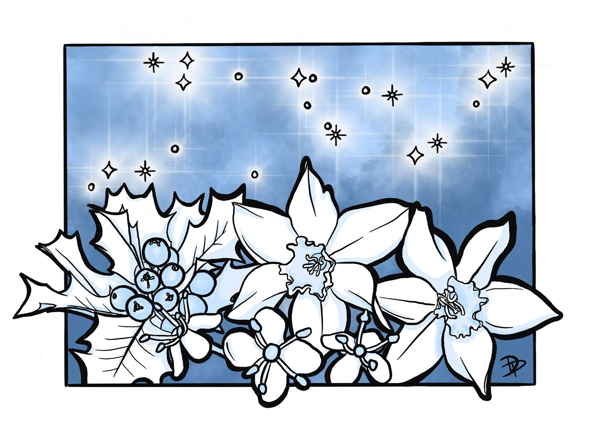 December: Holly & Narcissus. Blue Topaz. Sagittarius & Capricorn.