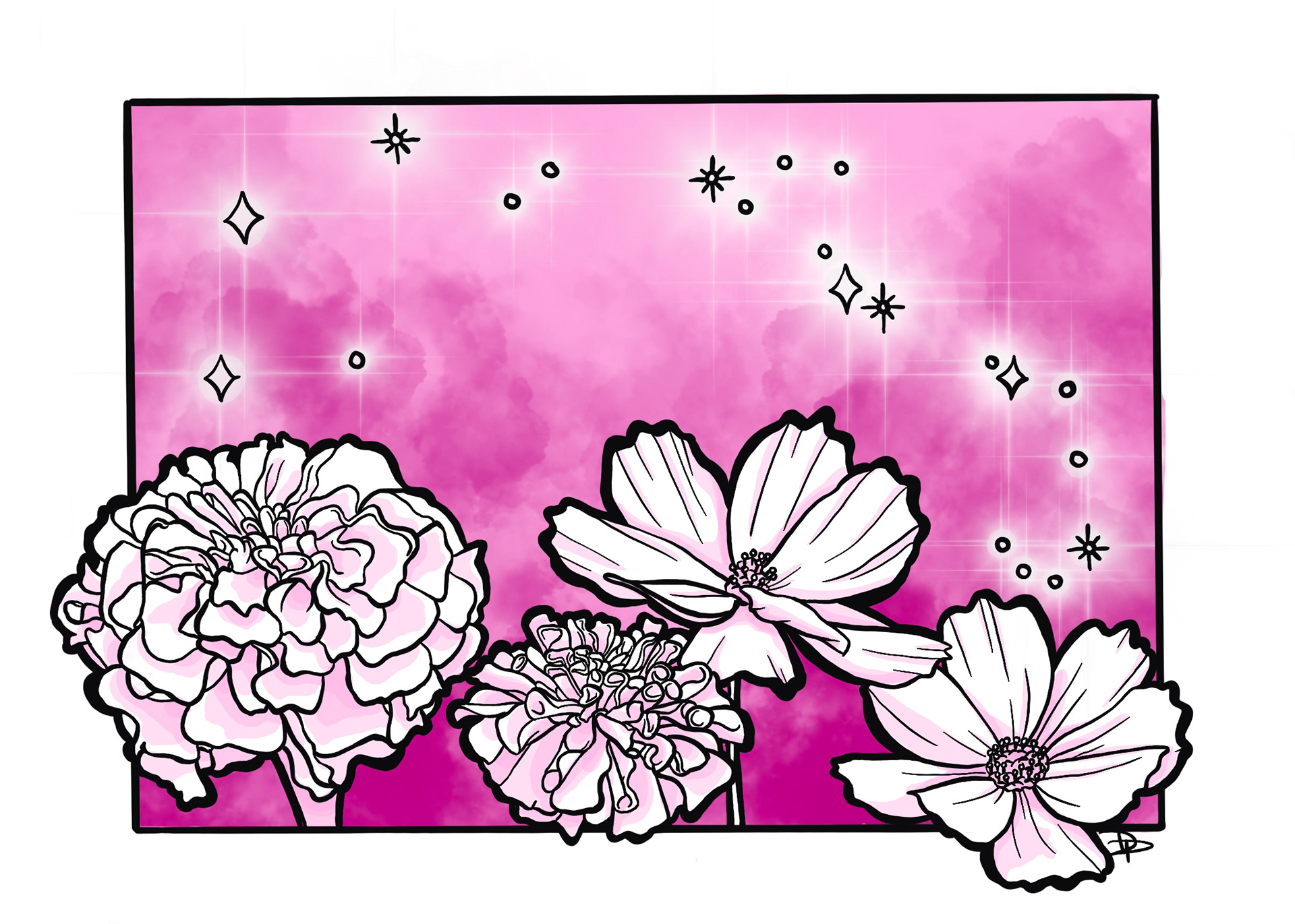 October: Marigold & Cosmos. Pink Tourmaline. Libra & Scorpio.