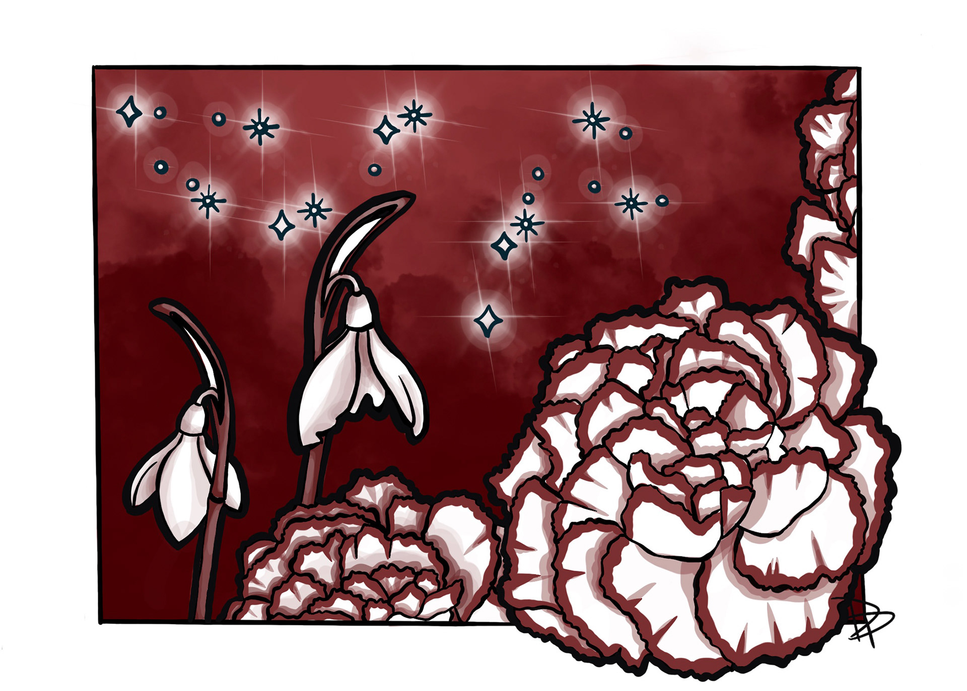 January: Snowdrop & Carnation. Garnet. Capricorn & Aquarius.