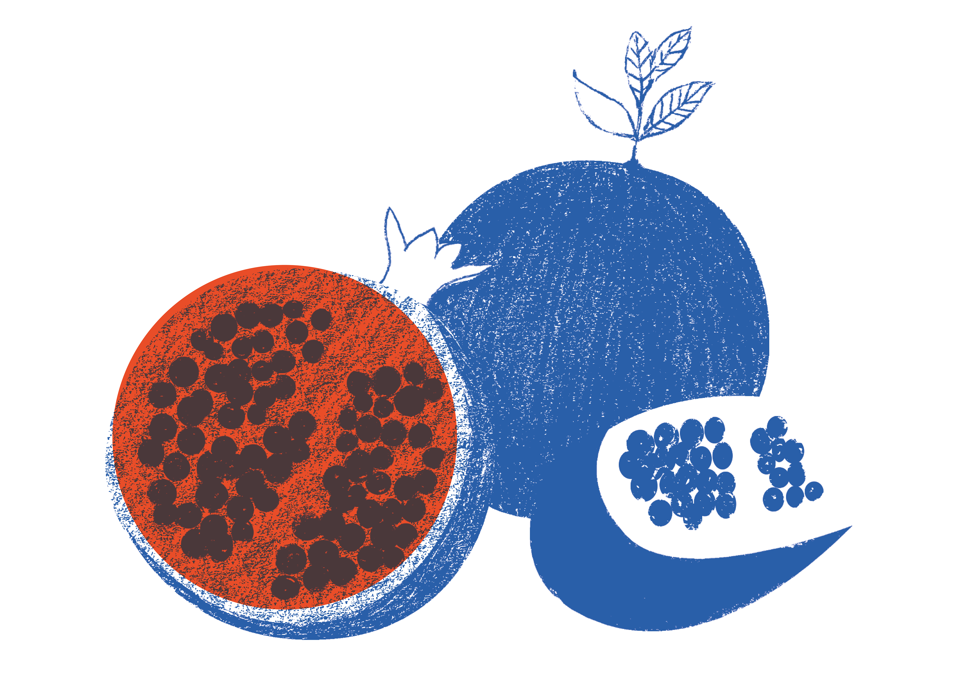 Granatapfel-Granité