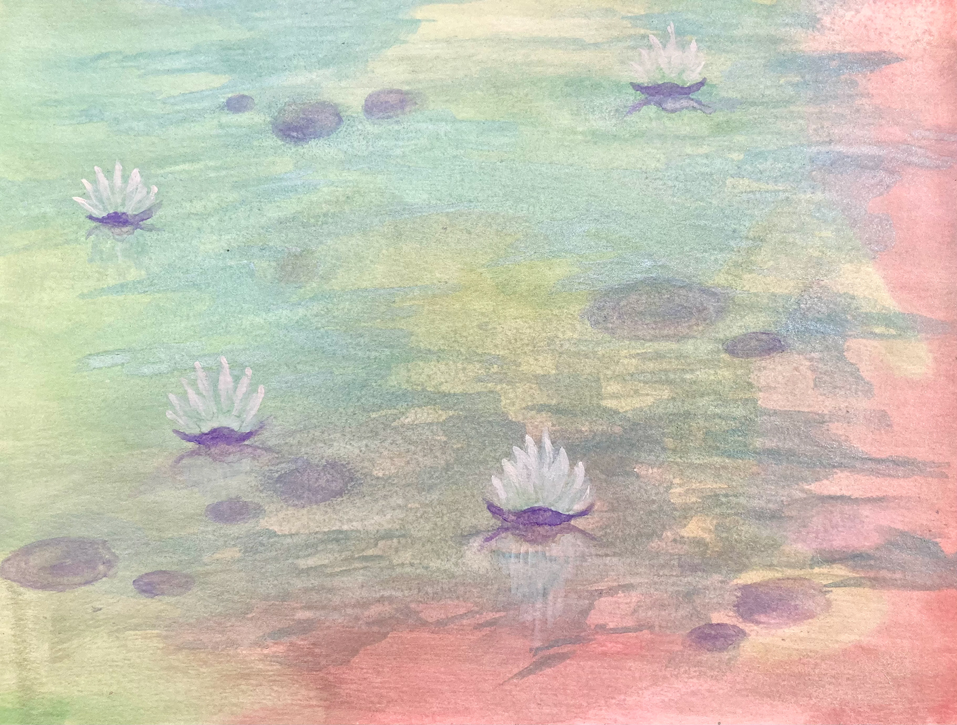 Pond