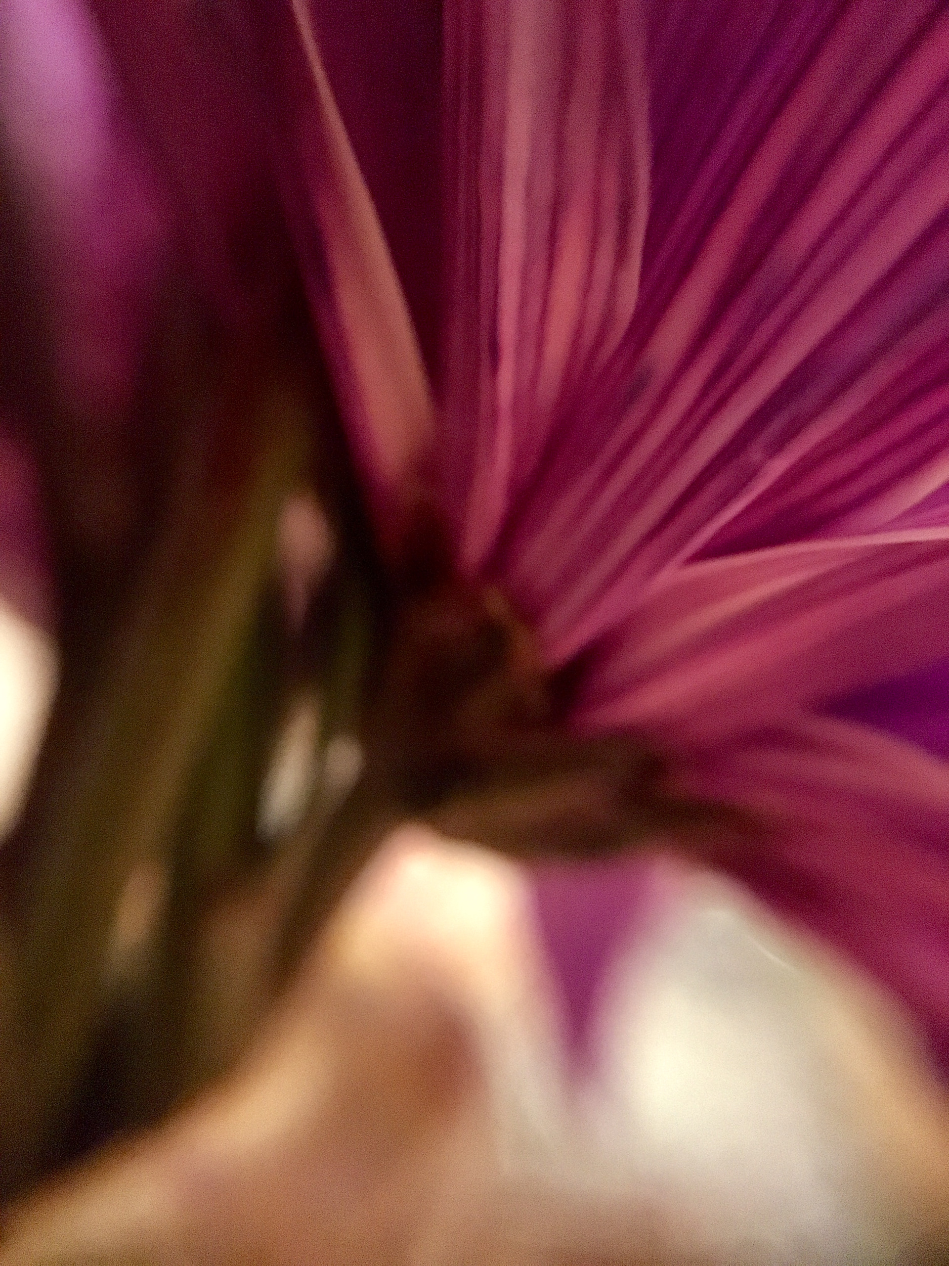 Flower Pedals 