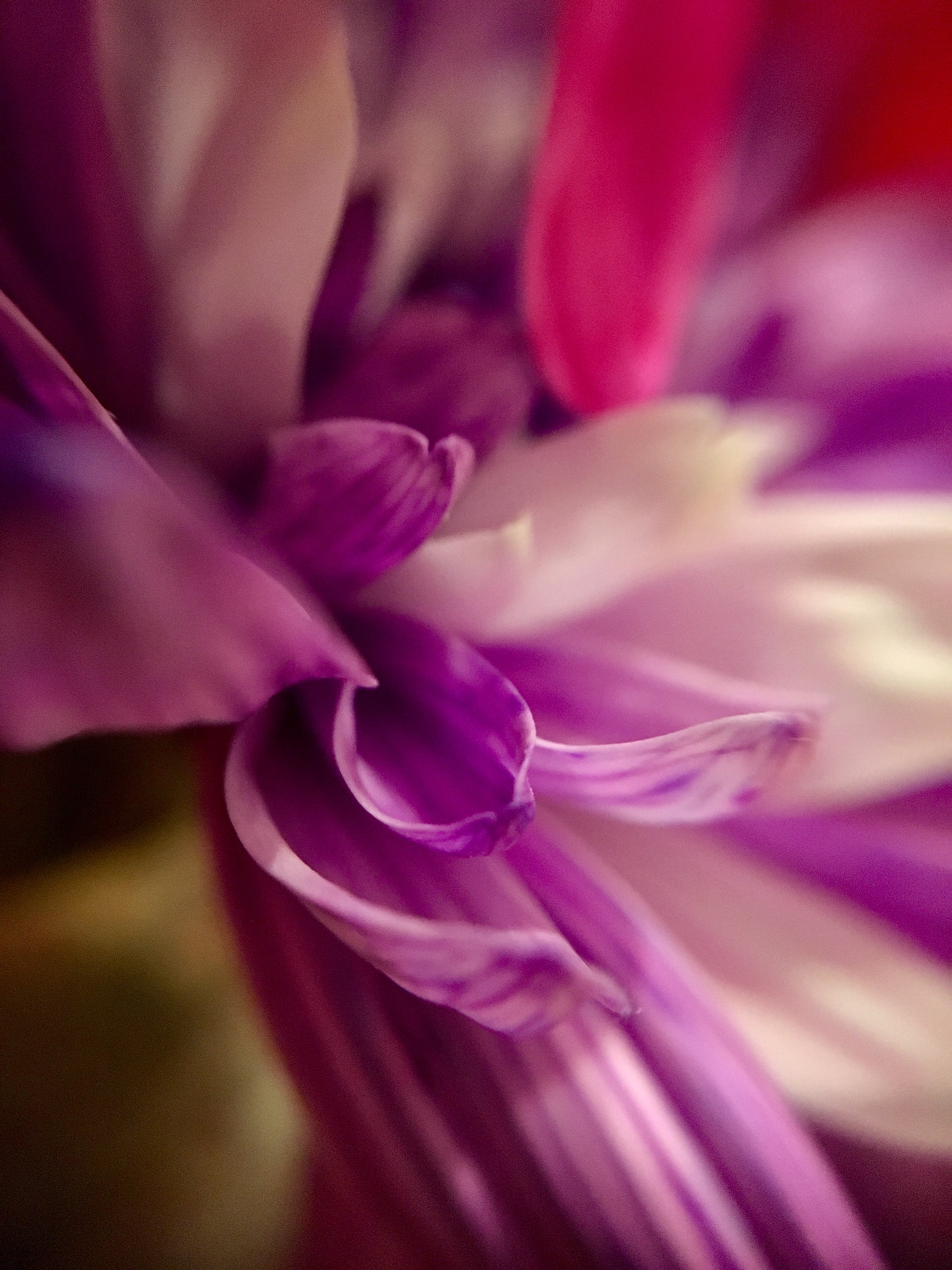 Flower Pedals