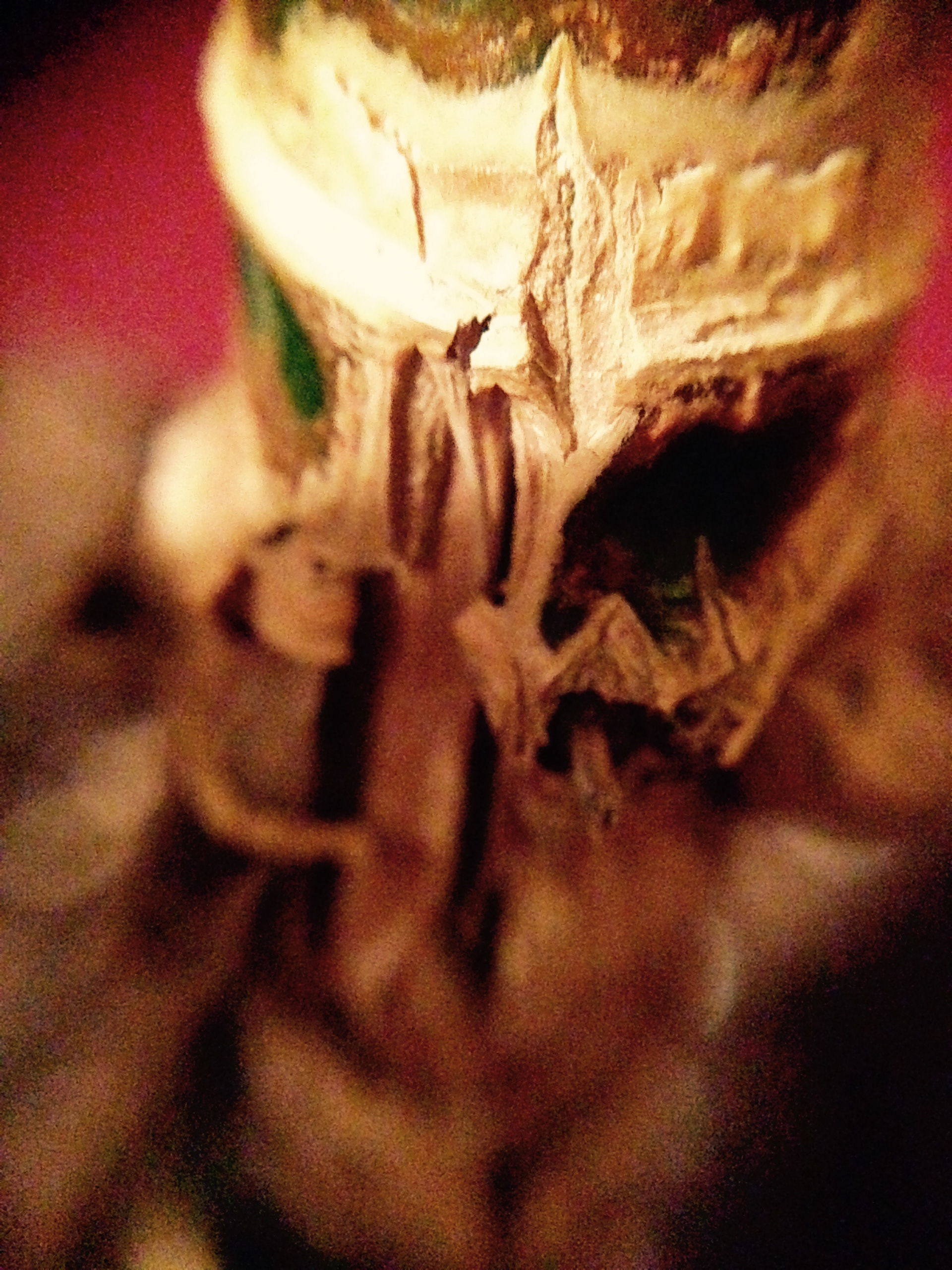 Flower Stem