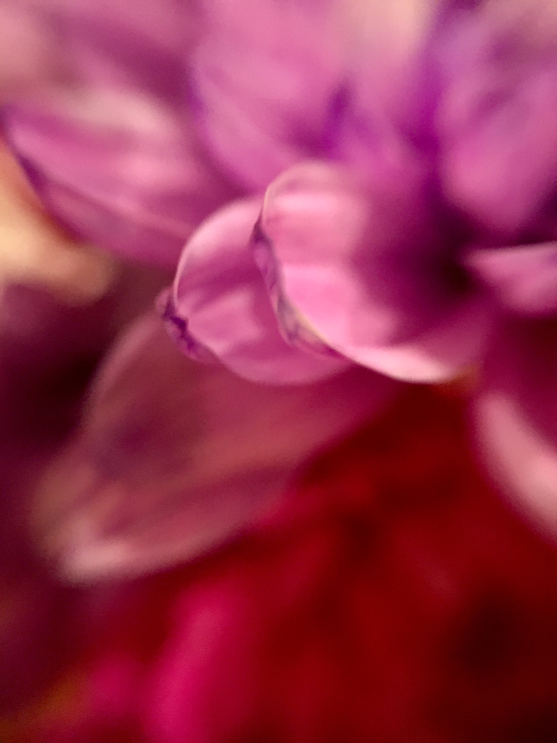 Flower Pedals